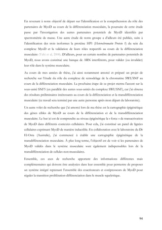 94
En revenant à notre objectif de départ sur l’identification et la compréhension du rôle des
partenaires de MyoD au cours de la différenciation musculaire, la poursuite de cette étude
passe par l’investigation des autres partenaires potentiels de MyoD identifiés par
spectrométrie de masse. Une autre étude de notre groupe a d’ailleurs été publiée, suite à
l’identification des trois isoformes la protéine HP1 (Heterochromatin Protein 1) du sein du
complexe MyoD et la validation de leurs rôles respectifs au cours de la différenciation
musculaire (Yahi et al, 2008). D’ailleurs, pour un certain nombre de partenaires potentiels de
MyoD, nous avons constitué une banque de ARN interférents, pour valider (ou invalider)
leur rôle dans le système musculaire.
Au cours de mes années de thèse, j’ai ainsi notamment amorcé et préparé un projet de
recherche sur l’étude du rôle du complexe de remodelage de la chromatine SWI/SNF au
cours de la différenciation musculaire. La prochaine étape de ce projet mettra l'accent sur la
sous-unité SNF5 (en parallèle des autres sous-unités du complexe SWI/SNF), car j’ai obtenu
des résultats préliminaires intéressants au cours de la différenciation et la transdifférenciation
musculaire (ce travail sera terminé par une autre personne après mon départ du laboratoire).
Un autre volet de recherche que j’ai amorcé lors de ma thèse est la cartographie épigénétique
des gènes cibles de MyoD au cours de la différenciation et de la transdifférenciation
musculaire. Le but ici est de comprendre au niveau épigénétique la « force » de transactivation
de MyoD dans différents contextes cellulaires. Pour cela, j’ai constitué un panel de lignées
cellulaires exprimant MyoD de manière inductible. En collaboration avec le laboratoire du Dr
El-Osta (Australie), j’ai commencé à établir une cartographie épigénétique de la
transdifférenciation musculaire. À plus long terme, l’objectif est de voir si les partenaires de
MyoD validés dans le système musculaire sont également indispensables lors de la
transdifférenciation de cellules non-musculaires.
Ensemble, ces axes de recherche apportent des informations différentes mais
complémentaires qui doivent être analysées dans leur ensemble pour permettre de proposer
un système intégré reprenant l’ensemble des coactivateurs et corépresseurs de MyoD pour
réguler la transition prolifération-différenciation dans le muscle squelettique.
 