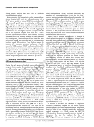Author Proof
Chromatin modification and muscle differentiation
6 Expert Opin. Ther. Targets (2006) 10(6)
MyoD protein interacts also with HP1 in myoblasts
(unpublished observation).
Other repressive HMTs negatively regulate muscle differen-
tiation. Notably, Ezh2, which is a polycomb protein with a
HMT activity specific for histone H3K27, is recruited specifi-
cally on muscle specific genes in proliferating myoblasts [56].
Ezh2 is found in a protein complex containing HDAC1
(Figure 3A). Indeed, muscle gene promoters were found to be
hypermethylated on H3K27 and thus silenced. Triggering of
differentiation and muscle gene activation is coupled with the
loss of this repressor complex from these loci. H3K27
becomes hypomethylated and the transcriptional activators
MyoD and MEF2 are recruited, allowing the transcription of
their target genes. Downregulation of Ezh2 coincided with
activation of muscle gene expression and its hyperexpression
inhibited muscle differentiation. These findings suggest the
existence of a two-step activation mechanism, whereby
removal of Ezh2-mediated H3K27 methylation, followed by
the recruitment of positive transcriptional regulators at dis-
crete genomic loci, are required to promote muscle gene
expression and cell differentiation. The Ezh2 complex might
not regulate the expression of every muscle-specific gene.
Indeed, myogenin expression is not influenced by Ezh2 [56].
5. Chromatin remodelling enzymes in
differentiating myotubes
During the early process of skeletal muscle differentiation,
myogenic factors regulate the transition from the proliferative
to a differentiating stage. Myoblasts must irreversibly exit the
cell cycle prior to the activation of muscle-specific gene.
Studies have revealed that MyoD contributes to both of these
events (reviewed in [57]). These two functions of MyoD are
controlled by distinct mechanisms: indeed, MyoD basic region
mutants are unable to activate differentiation, but can still
induce cell-cycle arrest [58]. The key step to growth arrest
involves the downregulation of cell cycle activators such as cyc-
lins (except cyclin D3) and cyclin-dependent kinases (CDKs),
and upregulation of cell-cycle inhibitors such as retinoblastoma
protein Rb, p21, p27 and p57. Cyclin D3, together with Rb
and the CDK inhibitor protein p21, are critical cell-cycle regu-
lators for MyoD-mediated growth arrest [59,60]. These genes
share the properties of being non-muscle-specific genes already
expressed in proliferating myoblasts, but have their expression
level raised by MyoD at the onset of differentiation [60]. In dif-
ferentiating myoblasts, MyoD associates to CREB (c-AMP
responsive element binding protein) and activates the Rb pro-
moter in cooperation with the HATs p300 and PCAF [61].
Hypophosphorylated Rb promotes cell cycle arrest and the
expression of late-stage muscle-specific genes, and also prevents
apoptosis during myoblast differentiation [62,63]. On the other
hand, a functional link between MyoD, HDAC1 and Rb pro-
tein, has been provided by Puri et al. [64] (Figure 3B). Indeed,
Rb has been shown to positively regulate muscle differentiation
by competing with MyoD for binding to HDAC1. During
muscle differentiation, HDAC1 is released from MyoD and
associates with hypophosphorylated (active) Rb. Rb-HDAC1
complex appear to stimulate differentiation by repressing E2F
target genes, which are responsible of the G1/S transition [65].
Moreover, H3K9 methylation mediated by Suv39h is neces-
sary for the silencing of E2F target genes. This H3K9 methyla-
tion of the E2F target genes is a prerequisite for the induction
of terminal muscle differentiation [66]. Suv39h is indeed
required for the silencing of proliferation genes and for the
activation of the programme of muscle differentiation, and
thus it plays a major role in the control of the balance between
proliferation and differentiation.
Skeletal muscle terminal differentiation is initiated by
MyoD, which binds directly to the regulatory regions of genes
expressed during skeletal muscle differentiation and initiates
chromatin remodelling at specific promoters, such as myogenin,
MCK and the MyoD gene itself. To this end, MyoD interacts
with an adjacent protein complex containing the homeodo-
main protein Pbx1, which appears to be constitutively bound at
the muscle gene promoters [67]. Pbx1 binds constitutively to the
promoter in a SWI/SNF-independent manner, suggesting a
two-step mechanism in which MyoD initially interacts indi-
rectly with the myogenin promoter and attracts chroma-
tin-remodelling enzymes [68], which then facilitate direct
binding by MyoD and other regulatory proteins such as HATs.
The HATs/MyoD complex has two distinct HAT activities,
p300/CBP and PCAF [38,69-72], which are necessary for the
full transcriptional activity of MyoD on chromatin-associated
templates [70,73]. First, MyoD would recruit p300/CBP to the
promoter, allowing p300/CBP to acetylate histones H3
and H4. p300/CBP would then recruit PCAF (the
p300/CBP-associated factor), which acetylates three lysine resi-
dues within MyoD, thereby facilitating the transactivation
process of muscle differentiation (Figure 3B and C) [73,74].
The authors also previously showed how class II HDACs (4,
5, 6 and 7) negatively regulate muscle differentiation through
association with members of the MEF2 family [38,75]. To initi-
ate muscle differentiation, CamK, a calcium-dependant kinase
under the control of the insulin growth factor (IGF-1), triggers
the phosphorylation of two serine residues on HDAC5,
resulting in its dissociation from MEF2 Figure 3B. Then, phos-
phorylated HDAC5 associates with the 14-3-3 chaperone,
which activates a nuclear export sequence in HDAC5 and
leads to its exportation from the nucleus. The following
recruitment of p300/PCAF and other co-activators with HAT
activity to MEF2 allows muscle-specific transcription and
myotube formation [72,76].
In addition to the HATs, the SWI/SNF ATP-dependent
chromatin remodelling complex and the histone arginine
methyltransferase, co-activator-associated arginine methyltrans-
ferase 1 (CARM1), have emerged as positive key regulators of
skeletal myogenesis [55,77]. MyoD recruits the SWI/SNF
ATP-dependent chromatin-remodelling complex through an
interaction that can be regulated by the p38
MAPK Figure 3C [77,78]. At myogenic loci, the p38 kinase
 