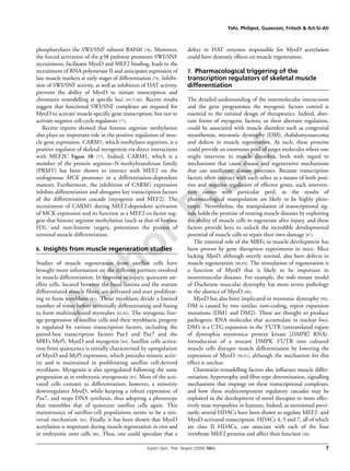 Author Proof
Yahi, Philipot, Guasconi, Fritsch & Ait-Si-Ali
Expert Opin. Ther. Targets (2006) 10(6) 7
phosphorylates the SWI/SNF subunit BAF60 [78]. Moreover,
the forced activation of the p38 pathway promotes SWI/SNF
recruitment, facilitates MyoD and MEF2 binding, leads to the
recruitment of RNA polymerase II and anticipates expression of
late muscle markers at early stages of differentiation [79]. Inhibi-
tion of SWI/SNF activity, as well as inhibition of HAT activity,
prevents the ability of MyoD to initiate transcription and
chromatin remodelling at specific loci [69,77,80]. Recent results
suggest that functional SWI/SNF complexes are required for
MyoD to activate muscle-specific gene transcription, but not to
activate negative cell-cycle regulators [77].
Recent reports showed that histone arginine methylation
also plays an important role in the positive regulation of mus-
cle gene expression. CARM1, which methylates arginines, is a
positive regulator of skeletal myogenesis via direct interactions
with MEF2C Figure 3B [77]. Indeed, CARM1, which is a
member of the protein arginine–N-methyltransferase family
(PRMT) has been shown to interact with MEF2 on the
endogenous MCK promoter in a differentiation-dependent
manner. Furthermore, the inhibition of CARM1 expression
inhibits differentiation and abrogates key transcription factors
of the differentiation cascade (myogenin and MEF2). The
recruitment of CARM1 during MEF2-dependent activation
of MCK expression and its function as a MEF2 co-factor sug-
gest that histone arginine methylation (such as that of histone
H3), and non-histone targets, potentiates the process of
terminal muscle differentiation.
6. Insights from muscle regeneration studies
Studies of muscle regeneration from satellite cells have
brought more information on the different partners involved
in muscle differentiation. In response to injury, quiescent sat-
ellite cells, located between the basal lamina and the mature
differentiated muscle fibres, are activated and start proliferat-
ing to form myoblasts [81]. These myoblasts divide a limited
number of times before terminally differentiating and fusing
to form multinucleated myotubes [82,83]. The myogenic line-
age progression of satellite cells and their myoblastic progeny
is regulated by various transcription factors, including the
paired-box transcription factors Pax3 and Pax7 and the
MRFs Myf5, MyoD and myogenin [84]. Satellite cells activa-
tion from quiescence is initially characterised by upregulation
of MyoD and Myf5 expression, which precedes mitotic activ-
ity and is maintained in proliferating satellite cell-derived
myoblasts. Myogenin is also upregulated following the same
progression as in embryonic myogenesis [85]. Most of the acti-
vated cells commit to differentiation; however, a minority
downregulates MyoD, while keeping a robust expression of
Pax7, and stops DNA synthesis, thus adopting a phenotype
that resembles that of quiescent satellite cells again. This
maintenance of satellite-cell populations seems to be a uni-
versal mechanism [84]. Finally, it has been shown that MyoD
acetylation is important during muscle regeneration in vivo and
in embryonic stem cells [86]. Thus, one could speculate that a
defect in HAT enzymes responsible for MyoD acetylation
could have dramatic effects on muscle regeneration.
7. Pharmacological triggering of the
transcription regulators of skeletal muscle
differentiation
The detailed understanding of the intermolecular interactions
and the gene programmes the myogenic factors control is
essential to the rational design of therapeutics. Indeed, aber-
rant forms of myogenic factors, or their aberrant regulation,
could be associated with muscle disorders such as congenital
myasthenias, myotonic dystrophy (DM), rhabdomyosarcoma
and defects in muscle regeneration. As such, these proteins
could provide an enormous pool of target molecules where one
might intervene in muscle disorders, both with regard to
mechanisms that cause disease and regenerative mechanisms
that can ameliorate disease processes. Because transcription
factors often interact with each other as a means of both posi-
tive and negative regulation of effector genes, such interven-
tion comes with particular peril, as the results of
pharmacological manipulation are likely to be highly pleio-
tropic. Nevertheless, the manipulation of transcriptional sig-
nals holds the promise of treating muscle diseases by exploiting
the ability of muscle cells to regenerate after injury, and these
factors provide keys to unlock the incredible developmental
potential of muscle cells to repair their own damage [87].
The essential role of the MRFs in muscle development has
been proven by gene disruption experiments in mice. Mice
lacking MyoD, although overtly normal, also have defects in
muscle regeneration [88,89]. The stimulation of regeneration is
a function of MyoD that is likely to be important in
neuromuscular diseases. For example, the mdx mouse model
of Duchenne muscular dystrophy has more severe pathology
in the absence of MyoD [88].
MyoD has also been implicated in myotonic dystrophy [90].
DM is caused by two similar, non-coding, repeat expansion
mutations (DM1 and DM2). These are thought to produce
pathogenic RNA molecules that accumulate in nuclear foci.
DM1 is a CTG expansion in the 3′UTR (untranslated region
of dystrophia myotonica protein kinase [DMPK] RNA).
Introduction of a mutant DMPK 3′UTR into cultured
muscle cells disrupts muscle differentiation by lowering the
expression of MyoD [90,91], although the mechanism for this
effect is unclear.
Chromatin-remodelling factors also influence muscle differ-
entiation, hypertrophy and fibre-type determination, signalling
mechanisms that impinge on these transcriptional complexes,
and how these multicomponent regulatory cascades may be
exploited in the development of novel therapies to more effec-
tively treat myopathies in humans. Indeed, as mentioned previ-
ously, several HDACs have been shown to regulate MEF2- and
MyoD-activated transcription. HDACs 4, 5 and 7, all of which
are class II HDACs, can associate with each of the four
vertebrate MEF2 proteins and affect their function [38].
 