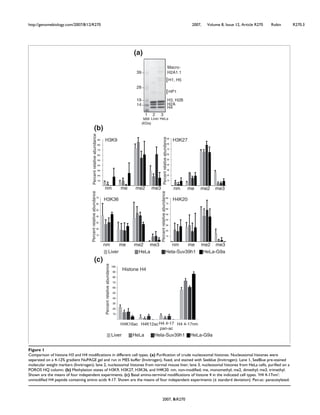 http://genomebiology.com/2007/8/12/R270 2007, Volume 8, Issue 12, Article R270 Robin R270.3
2007, 8:R270
Comparison of histone H3 and H4 modifications in different cell typesFigure 1
Comparison of histone H3 and H4 modifications in different cell types. (a) Purification of crude nucleosomal histones. Nucleosomal histones were
separated on a 4-12% gradient NuPAGE gel and run in MES buffer (Invitrogen), fixed, and stained with Seeblue (Invitrogen). Lane 1, SeeBlue pre-stained
molecular weight markers (Invitrogen); lane 2, nucleosomal histones from normal mouse liver; lane 3, nucleosomal histones from HeLa cells, purified on a
POROS HQ column. (b) Methylation states of H3K9, H3K27, H3K36, and H4K20. nm, non-modified; me, monomethyl; me2, dimethyl; me3, trimethyl.
Shown are the means of four independent experiments. (c) Basal amino-terminal modifications of histone 4 in the indicated cell types. 'H4 4-17nm':
unmodified H4 peptide containing amino acids 4-17. Shown are the means of four independent experiments (± standard deviation). Pan-ac: panacetylated.
(a)
1 2
Macro-
H2A1.1
H1, H5
HP1
H3, H2B
H2A
Percentrelativeabundance
(c)
HeLaLiver
H4
3
MW
(KDa)
39
28
19
14
Histone H4
Percentrelativeabundance
nm me me2 me3
H3K36 H4K20
Percentrelativeabundance
H3K9
Percentrelativeabundance
H3K27
(b)
10
20
30
40
50
60
70
10
20
30
40
50
60
70
80
90
nm me me2 me3
Percentrelativeabundance
10
20
30
40
50
60
70
80
nm me me2 me3
10
20
30
40
50
60
70
80
90
nm me me2 me3
HeLa-G9a
H4K16ac H4K12acH4 4-17
pan-ac
H4 4-17nm
10
20
30
40
50
60
70
80
90
100
Liver HeLa Hela-Suv39h1
HeLa-G9aLiver HeLa Hela-Suv39h1
 