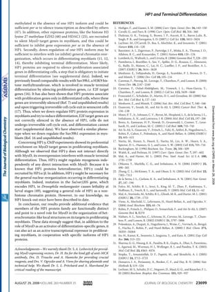 methylated in the absence of one HP1 isoform and could be
sufficient per se to silence transcription as described by others
(47). In addition, other repressor proteins, like the histone H3
lysine 27 methylase EZH2 (48) and HDAC1 (25), are recruited
to silent MyoD target genes in myoblasts, and this could be
sufficient to inhibit gene expression per se in the absence of
HP1. Secondly, down-regulation of one HP1 isoform may be
sufficient to interfere with (or inhibit) general chromatin reor-
ganization, which occurs in differentiating myoblasts (11, 12,
14), thereby inhibiting terminal differentiation. More likely,
HP1 proteins are required to silence proliferation-associated
genes in differentiating cells, a step that is obligatory to initiate
terminal differentiation (see supplemental data). Indeed, we
previously found comparable results with Suv39h1, a H3K9 his-
tone methyltransferase, which is involved in muscle terminal
differentiation by silencing proliferation genes, i.e. E2F target
genes (16). It has also been shown that HP1 proteins associate
with proliferation genes only in differentiated cells, where these
genes are irreversibly silenced (Ref. 7) and unpublished results)
and upon triggering irreversible cell cycle exit in senescent cells
(17). Thus, when we down-regulate HP1 protein expression in
myoblasts and try to induce differentiation, E2F target genes are
not correctly silenced in the absence of HP1, cells do not
undergo irreversible cell cycle exit, and differentiation cannot
start (supplemental data). We have observed a similar pheno-
type when we down-regulate the Suv39h1 expression in myo-
blasts (Ref. 16 and unpublished results).
Concerning HP1␥, ChIP experiments showed its preferential
enrichment on MyoD target genes in proliferating myoblasts.
Although we observed that HP1␥ does not interact directly
with MyoD, its overexpression interferes with muscle terminal
differentiation. Thus, HP1␥ might regulate myogenesis inde-
pendently of any direct interaction with MyoD. Because it is
known that HP1 proteins heterodimerize, HP1␥ could be
recruited by HP1␣/␤. In addition, HP1␥ might be necessary for
the general nuclear reorganization occurring in differentiating
myoblasts. Indeed, mutation in the Su(var)205 gene, which
encodes HP1, in Drosophila melanogaster causes lethality at
larval stages (49), suggesting a general role of HP1 as a non-
histone chromatin protein. However, to our knowledge, no
HP1 knock-out mice have been described to date.
In conclusion, our results provide additional evidence that
members of the HP1 protein family are functionally distinct
and point to a novel role for MyoD in the organization of het-
erochromatin-like local structures on its targets in proliferating
myoblasts. These data strongly suggest that, in addition to the
role of MyoD as an activator of differentiation-specific genes, it
can also act as an active transcriptional repressor in proliferat-
ing myoblasts, in cooperation with specific isoforms of HP1
proteins.
Acknowledgments—We warmly thank Dr. S. A. Leibovitch for provid-
ing MyoD expressing vectors, Dr. H. Ito for the kind gift of anti-MCK
antibody, Drs. D. Trouche and A. Hamiche for providing crucial
reagents, and Drs. V. Ogryzko and A. Viens for sharing plasmids and
technical help. We thank Dr. L. L. Pritchard and A. Marchand for
critical reading of the manuscript.
REFERENCES
1. Hediger, F., and Gasser, S. M. (2006) Curr. Opin. Genet. Dev. 16, 143–150
2. Cavalli, G., and Paro, R. (1998) Curr. Opin. Cell Biol. 10, 354–360
3. Dialynas, G. K., Terjung, S., Brown, J. P., Aucott, R. L., Baron-Luhr, B.,
Singh, P. B., and Georgatos, S. D. (2007) J. Cell Sci. 120, 3415–3424
4. Lachner, M., O’Carroll, D., Rea, S., Mechtler, K., and Jenuwein, T. (2001)
Nature 410, 116–120
5. Bannister, A. J., Zegerman, P., Partridge, J. F., Miska, E. A., Thomas, J. O.,
Allshire, R. C., and Kouzarides, T. (2001) Nature 410, 120–124
6. Lomberk, G., Wallrath, L., and Urrutia, R. (2006) Genome Biol. 7, 228–235
7. Panteleeva, I., Boutillier, S., See, V., Spiller, D. G., Rouaux, C., Almouzni,
G., Bailly, D., Maison, C., Lai, H. C., Loeffler, J. P., and Boutillier, A. L.
(2007) EMBO J. 26, 3616–3628
8. Meshorer, E., Yellajoshula, D., George, E., Scambler, P. J., Brown, D. T.,
and Misteli, T. (2006) Dev. Cell 10, 105–116
9. Cammas, F., Herzog, M., Lerouge, T., Chambon, P., and Losson, R. (2004)
Genes Dev. 18, 2147–2160
10. Cammas, F., Oulad-Abdelghani, M., Vonesch, J. L., Huss-Garcia, Y.,
Chambon, P., and Losson, R. (2002) J. Cell Sci. 115, 3439–3448
11. Francastel, C., Schubeler, D., Martin, D. I., and Groudine, M. (2000) Nat.
Rev. Mol. Cell Biol. 1, 137–143
12. Meshorer, E., and Misteli, T. (2006) Nat. Rev. Mol. Cell Biol. 7, 540–546
13. Guasconi, V., Souidi, M., and Ait-Si-Ali, S. (2005) Cancer Biol. Ther. 4,
134–138
14. Moen, P. T., Jr., Johnson, C. V., Byron, M., Shopland, L. S., de la Serna, I. L.,
Imbalzano, A. N., and Lawrence, J. B. (2004) Mol. Biol. Cell 15, 197–206
15. Brero, A., Easwaran, H. P., Nowak, D., Grunewald, I., Cremer, T., Leon-
hardt, H., and Cardoso, M. C. (2005) J. Cell Biol. 169, 733–743
16. Ait-Si-Ali, S., Guasconi, V., Fritsch, L., Yahi, H., Sekhri, R., Naguibneva, I.,
Robin, P., Cabon, F., Polesskaya, A., and Harel-Bellan, A. (2004) EMBO J.
23, 605–615
17. Narita, M., Nunez, S., Heard, E., Narita, M., Lin, A. W., Hearn, S. A.,
Spector, D. L., Hannon, G. J., and Lowe, S. W. (2003) Cell 113, 703–716
18. Buckingham, M. (1996) Biochem. Soc. Trans. 24, 506–509
19. Walsh, K., and Perlman, H. (1997) Curr. Opin. Genet. Dev. 7, 597–602
20. Mal, A., and Harter, M. L. (2003) Proc. Natl. Acad. Sci. U. S. A. 100,
1735–1739
21. Ohkawa, Y., Marfella, C. G., and Imbalzano, A. N. (2006) EMBO J. 25,
490–501
22. Zhang, C. L., McKinsey, T. A., and Olson, E. N. (2002) Mol. Cell Biol. 22,
7302–7312
23. de la Serna, I. L., Carlson, K. A., and Imbalzano, A. N. (2001) Nat. Genet.
27, 187–190
24. Fulco, M., Schiltz, R. L., Iezzi, S., King, M. T., Zhao, P., Kashiwaya, Y.,
Hoffman, E., Veech, R. L., and Sartorelli, V. (2003) Mol. Cell 12, 51–62
25. Mal, A., Sturniolo, M., Schiltz, R. L., Ghosh, M. K., and Harter, M. L. (2001)
EMBO J. 20, 1739–1753
26. Viens, A., Mechold, U., Lehrmann, H., Harel-Bellan, A., and Ogryzko, V.
(2004) Anal. Biochem. 325, 68–76
27. Robin, P., Fritsch, L., Philipot, O., Svinarchuk, F., and Ait-Si-Ali, S. (2007)
Genome Biol. 8, R270
28. Nielsen, A. L., Sanchez, C., Ichinose, H., Cervino, M., Lerouge, T., Cham-
bon, P., and Losson, R. (2002) EMBO J. 21, 5797–5806
29. Polesskaya, A., Duquet, A., Naguibneva, I., Weise, C., Vervisch, A., Bengal,
E., Hucho, F., Robin, P., and Harel-Bellan, A. (2000) J. Biol. Chem. 275,
34359–34364
30. Ito, H., Kamei, K., Iwamoto, I., Inaguma, Y., and Kato, K. (2001) Exp. Cell
Res. 266, 213–221
31. Sharma, G. G., Hwang, K. K., Pandita, R. K., Gupta, A., Dhar, S., Parenteau,
J., Agarwal, M., Worman, H. J., Wellinger, R. J., and Pandita, T. K. (2003)
Mol. Cell Biol. 23, 8363–8376
32. Stopka, T., Amanatullah, D. F., Papetti, M., and Skoultchi, A. I. (2005)
EMBO J. 24, 3712–3723
33. Demarco, I. A., Periasamy, A., Booker, C. F., and Day, R. N. (2006) Nat.
Methods 3, 519–524
34. Lechner, M. S., Schultz, D. C., Negorev, D., Maul, G. G., and Rauscher, F. J.,
III (2005) Biochem. Biophys. Res. Commun. 331, 929–937
HP1 and Terminal Differentiation
AUGUST 29, 2008•VOLUME 283•NUMBER 35 JOURNAL OF BIOLOGICAL CHEMISTRY 23699
atCNRSonMarch26,2009www.jbc.orgDownloadedfrom
 