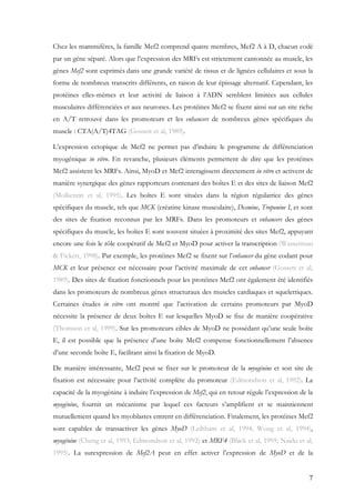 7
Chez les mammifères, la famille Mef2 comprend quatre membres, Mef2 A à D, chacun codé
par un gène séparé. Alors que l’expression des MRFs est strictement cantonnée au muscle, les
gènes Mef2 sont exprimés dans une grande variété de tissus et de lignées cellulaires et sous la
forme de nombreux transcrits différents, en raison de leur épissage alternatif. Cependant, les
protéines elles-mêmes et leur activité de liaison à l’ADN semblent limitées aux cellules
musculaires différenciées et aux neurones. Les protéines Mef2 se fixent ainsi sur un site riche
en A/T retrouvé dans les promoteurs et les enhancers de nombreux gènes spécifiques du
muscle : CTA(A/T)4TAG (Gossett et al, 1989).
L’expression ectopique de Mef2 ne permet pas d’induire le programme de différenciation
myogénique in vitro. En revanche, plusieurs éléments permettent de dire que les protéines
Mef2 assistent les MRFs. Ainsi, MyoD et Mef2 interagissent directement in vitro et activent de
manière synergique des gènes rapporteurs contenant des boîtes E et des sites de liaison Mef2
(Molkentin et al, 1995). Les boîtes E sont situées dans la région régulatrice des gènes
spécifiques du muscle, tels que MCK (créatine kinase musculaire), Desmine, Troponine I, et sont
des sites de fixation reconnus par les MRFs. Dans les promoteurs et enhancers des gènes
spécifiques du muscle, les boîtes E sont souvent situées à proximité des sites Mef2, appuyant
encore une fois le rôle coopératif de Mef2 et MyoD pour activer la transcription (Wasserman
& Fickett, 1998). Par exemple, les protéines Mef2 se fixent sur l’enhancer du gène codant pour
MCK et leur présence est nécessaire pour l’activité maximale de cet enhancer (Gossett et al,
1989). Des sites de fixation fonctionnels pour les protéines Mef2 ont également été identifiés
dans les promoteurs de nombreux gènes structuraux des muscles cardiaques et squelettiques.
Certaines études in vitro ont montré que l’activation de certains promoteurs par MyoD
nécessite la présence de deux boîtes E sur lesquelles MyoD se fixe de manière coopérative
(Thomson et al, 1999). Sur les promoteurs cibles de MyoD ne possédant qu’une seule boîte
E, il est possible que la présence d’une boîte Mef2 compense fonctionnellement l’absence
d’une seconde boîte E, facilitant ainsi la fixation de MyoD.
De manière intéressante, Mef2 peut se fixer sur le promoteur de la myogénine et son site de
fixation est nécessaire pour l’activité complète du promoteur (Edmondson et al, 1992). La
capacité de la myogénine à induire l’expression de Mef2, qui en retour régule l’expression de la
myogénine, fournit un mécanisme par lequel ces facteurs s’amplifient et se maintiennent
mutuellement quand les myoblastes entrent en différenciation. Finalement, les protéines Mef2
sont capables de transactiver les gènes MyoD (Leibham et al, 1994; Wong et al, 1994),
myogénine (Cheng et al, 1993; Edmondson et al, 1992) et MRF4 (Black et al, 1995; Naidu et al,
1995). La surexpression de Mef2A peut en effet activer l’expression de MyoD et de la
 