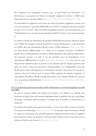 9
Des expériences de mutagenèse montrent que ce motif HLH sert d’interface à la
dimérisation, ce qui permet de former un domaine composite de liaison à l’ADN après
dimérisation de deux protéines bHLH (Davis et al, 1990; Voronova & Baltimore, 1990).
Le motif bHLH est également trouvé dans une classe de protéines ubiquitaires connues sous
le nom de protéines E, qui inclut HEB/HTF4, E2-2/ITF-2 et l’epissage alternatif du produit
du gène E2A : E12/E47. Ainsi, les bHLH myogéniques peuvent soit s’homodimériser, soit
s’hétérodimériser avec les facteurs de transcription bHLH de classe I, que sont les protéines
E.
Les dimères formés par dimérisation de protéines bHLH diffèrent par leur affinité de liaison
pour l’ADN. Par exemple, le dimère MyoD-E47 se forme efficacement et se fixe fortement
sur l’ADN, alors que l’homodimère MyoD se fixe à l’ADN faiblement (Murre et al, 1989).
Les hétérodimères MRF-protéine E se fixent sur la séquence consensus “CANNTG”,
appelée boîte E. Des préférences de liaison à l’ADN dépendantes des séquences adjacentes et
des séquences internes à la boîte E ont été identifiées pour les homodimères et les
hétérodimères MRF-protéine E in vitro (Blackwell & Weintraub, 1990). Les boîtes E sont
fréquemment représentées dans le génome et pas seulement dans les régions régulatrices des
gènes du muscle. Ainsi, des interactions intramoléculaires sont indispensables pour que
MyoD puisse activer spécifiquement la transcription des gènes du muscle. Par exemple, la
présence d’un site de liaison pour le facteur Mef2, augmente de manière coopérative la
transcription. Par ailleurs, Mef2C interagit directement avec le dimère MyoD-E12, mais pas
avec ces protéines individuellement (Molkentin et al, 1995; Molkentin & Olson, 1996; Olson
et al, 1995).
II.4.2 Les domaines de transactivation (TAD) N-terminal et C-terminal régulent l’activité
des MRFs
En plus du domaine bHLH, des analyses de mutation et de délétion ont identifié trois
domaines de MyoD ayant des fonctions importantes dans la régulation des gènes spécifiques
du muscle : le domaine acide N-terminal, le domaine riche en histidine et cystéine (H/C) et
l’hélice III.
Le domaine N-terminal, qui comprend les résidus 1 à 53, est très acide et permet l’activation
d’un promoteur hétérologue (Weintraub et al, 1991). Le domaine acide N-terminal de MyoD
est requis pour l’activation d’un plasmide rapporteur dirigé par plusieurs boîtes E, suggérant
qu’il fonctionne comme un domaine de transactivation (TAD) et qu’il est nécessaire pour la
fixation de MyoD sur les boîtes E (Weintraub et al, 1990).
 