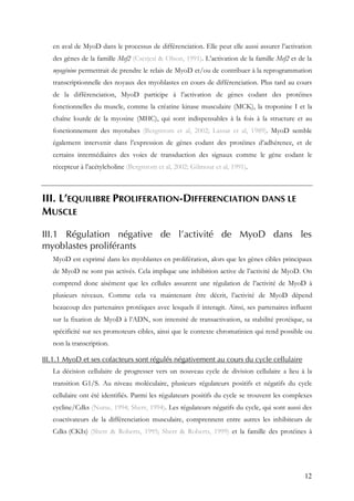 12
en aval de MyoD dans le processus de différenciation. Elle peut elle aussi assurer l’activation
des gènes de la famille Mef2 (Cserjesi & Olson, 1991). L’activation de la famille Mef2 et de la
myogénine permettrait de prendre le relais de MyoD et/ou de contribuer à la reprogrammation
transcriptionnelle des noyaux des myoblastes en cours de différenciation. Plus tard au cours
de la différenciation, MyoD participe à l’activation de gènes codant des protéines
fonctionnelles du muscle, comme la créatine kinase musculaire (MCK), la troponine I et la
chaîne lourde de la myosine (MHC), qui sont indispensables à la fois à la structure et au
fonctionnement des myotubes (Bergstrom et al, 2002; Lassar et al, 1989). MyoD semble
également intervenir dans l’expression de gènes codant des protéines d’adhérence, et de
certains intermédiaires des voies de transduction des signaux comme le gène codant le
récepteur à l’acétylcholine (Bergstrom et al, 2002; Gilmour et al, 1991).
III. L’EQUILIBRE PROLIFERATION-DIFFERENCIATION DANS LE
MUSCLE
III.1 Régulation négative de l’activité de MyoD dans les
myoblastes proliférants
MyoD est exprimé dans les myoblastes en prolifération, alors que les gènes cibles principaux
de MyoD ne sont pas activés. Cela implique une inhibition active de l’activité de MyoD. On
comprend donc aisément que les cellules assurent une régulation de l’activité de MyoD à
plusieurs niveaux. Comme cela va maintenant être décrit, l’activité de MyoD dépend
beaucoup des partenaires protéiques avec lesquels il interagit. Ainsi, ses partenaires influent
sur la fixation de MyoD à l’ADN, son intensité de transactivation, sa stabilité protéique, sa
spécificité sur ses promoteurs cibles, ainsi que le contexte chromatinien qui rend possible ou
non la transcription.
III.1.1 MyoD et ses cofacteurs sont régulés négativement au cours du cycle cellulaire
La décision cellulaire de progresser vers un nouveau cycle de division cellulaire a lieu à la
transition G1/S. Au niveau moléculaire, plusieurs régulateurs positifs et négatifs du cycle
cellulaire ont été identifiés. Parmi les régulateurs positifs du cycle se trouvent les complexes
cycline/Cdks (Nurse, 1994; Sherr, 1994). Les régulateurs négatifs du cycle, qui sont aussi des
coactivateurs de la différenciation musculaire, comprennent entre autres les inhibiteurs de
Cdks (CKIs) (Sherr & Roberts, 1995; Sherr & Roberts, 1999) et la famille des protéines à
 