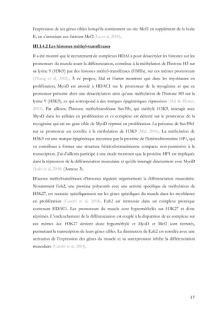 17
l’expression de ses gènes cibles lorsqu’ils contiennent un site Mef2 en supplément de la boîte
E, en s’associant aux facteurs Mef2 (Lu et al, 2000).
III.1.4.2 Les histones méthyl-transférases
Il a été montré que le recrutement de complexes HDACs pour désacétyler les histones sur les
promoteurs du muscle avant la différenciation, contribue à la méthylation de l’histone H3 sur
sa lysine 9 (H3K9) par des histones méthyl-transférases (HMTs), sur ces mêmes promoteurs
(Zhang et al, 2002). À ce propos, Mal et Harter montrent que dans les myoblastes en
prolifération, MyoD est associé à HDAC1 sur le promoteur de la myogénine et que ce
promoteur présente alors une désacétylation ainsi qu’une méthylation de l’histone H3 sur la
lysine 9 (H3K9), ce qui correspond à des marques épigénétiques répressives (Mal & Harter,
2003). Par ailleurs, l’histone méthyltransférase Suv39h, qui méthyle H3K9, interagit avec
MyoD dans les cellules en prolifération et ce complexe est détecté sur le promoteur de la
myogénine qui est un gène cible de MyoD réprimé en prolifération. La présence de Suv39h1
sur ce promoteur est corrélée à la méthylation de H3K9 (Mal, 2006). La méthylation de
H3K9 est une marque épigénétique reconnue par la protéine de l’hétérochromatine HP1, qui
va contribuer à former une structure hétérochromatinienne compacte non-permissive à la
transcription. J’ai d’ailleurs participé à une étude montrant que la protéine HP1 est impliquée
dans la répression de la différenciation musculaire et qu’elle interagit directement avec MyoD
(Yahi et al, 2008) (Annexe 3).
D’autres méthyltransférases d’histones régulent négativement la différenciation musculaire.
Notamment Ezh2, une protéine polycomb avec une activité spécifique de méthylation de
H3K27, est recrutée spécifiquement sur les gènes spécifiques du muscle dans les myoblastes
en prolifération (Caretti et al, 2004). Ezh2 est retrouvée dans un complexe protéique
contenant HDAC1. Les promoteurs du muscle sont hyperméthylés sur H3K27 et donc
réprimés. L’enclenchement de la différenciation est couplé à la disparition de ce complexe sur
ces mêmes loci. H3K27 devient donc hypométhylé et MyoD et Mef2 sont recrutés,
permettant la transcription de leurs gènes cibles. La diminution de Ezh2 est corrélée avec une
activation de l’expression des gènes du muscle et sa surexpression inhibe la différenciation
musculaire (Caretti et al, 2004).
 