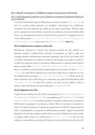 18
III.2 MyoD orchestre la différenciation musculaire terminale
III.2.1 MyoD promeut la sortie du cycle cellulaire en stimulant l’expression de Rb, p21
et la cycline D3
Un point de contrôle de l’entrée en différenciation a été mis en évidence (Puri et al, 2002). Ce
point de contrôle semble permettre aux myoblastes d’interrompre leur prolifération,
notamment lors d’un traitement des cellules par des agents génotoxiques. MyoD coopère
avec les régulateurs du cycle cellulaire, notamment les complexes cycline/cdk, les CKIs et Rb,
dans la voie de signalisation qui mène à l’arrêt du cycle en phase G1 et l’engagement dans la
voie de différenciation (Guo et al, 1995; Halevy et al, 1995; Novitch et al, 1996; Parker et al,
1995; Schneider et al, 1994) et pour revue voir (De Falco et al, 2006) (figure 11).
III.2.1.1 Régulation des complexes cycline/cdk
Globalement, l’expression et l’activité des régulateurs positifs du cycle cellulaire sont
diminuées pendant la différenciation terminale. Si l’expression de cdk4 et cdk2 reste
inchangée pendant la différenciation musculaire squelettique, celle de cdk1, des cyclines D, E
et A décline. Cependant, une catégorie de cycline et Cdk échappe à cette règle, les cyclines T
et Cdk9 sont augmentées dans les myotubes en différenciation et aideraient même MyoD à
activer ses gènes cibles (Giacinti et al, 2006; Simone & Giordano, 2001; Simone et al, 2002b).
Dans les myoblastes, la protéine Rb interagirait également avec cycline T2/cdk9 (Simone et
al, 2002a). La cycline D3 est également une cycline dont l’expression est augmentée au cours
de la différenciation musculaire (Kiess et al, 1995; Rao & Kohtz, 1995). MyoD stimule lui-
même l’expression de la cycline D3, par un mécanisme qui requiert l’acétyltransférase p300
(Cenciarelli et al, 1999). La cycline D3 contribue à la sortie du cycle cellulaire et elle est
associée à cdk4 et Rb dans les myotubes différenciés (Cenciarelli et al, 1999).
III.2.1.2 Régulation des CKIs
L’expression des inhibiteurs de cdks (CKIs), en particulier p21 (Guo et al, 1995; Halevy et al,
1995; Parker et al, 1995; Skapek et al, 1995), mais également p27 (Zabludoff et al, 1998) et p18
(Franklin & Xiong, 1996), est renforcée pendant la myogenèse embryonnaire et pendant la
différenciation myogénique de myoblastes en culture. Dans les myoblastes, la majorité des
CKIs sont capables d’améliorer la capacité de transactivation de MyoD. L’augmentation des
CKIs à l’enclenchement du processus de différenciation terminale, explique la diminution
drastique de l’activité des complexes cycline/cdk au cours de la différenciation. Par exemple,
le complexe cdk2/ cycline E est inhibé par p57 (Reynaud et al, 2000). La sortie du cycle
cellulaire est essentiellement contrôlée par l’expression de deux inhibiteurs de cdk, p21 et p57
 
