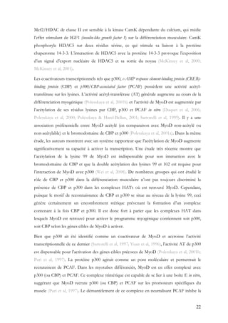 22
Mef2/HDAC de classe II est sensible à la kinase CamK dépendante du calcium, qui médie
l’effet stimulant de IGF1 (insulin-like growth factor 1) sur la différenciation musculaire. CamK
phosphoryle HDAC5 sur deux résidus sérine, ce qui stimule sa liaison à la protéine
chaperonne 14-3-3. L’interaction de HDAC5 avec la protéine 14-3-3 provoque l’exposition
d’un signal d’export nucléaire de HDAC5 et sa sortie du noyau (McKinsey et al, 2000;
McKinsey et al, 2001).
Les coactivateurs transcriptionnels tels que p300, c-AMP response element-binding protein (CREB)-
binding protein (CBP) et p300/CBP-associated factor (PCAF) possèdent une activité acétyl-
transférase sur les lysines. L’activité acétyl-transférase (AT) générale augmente au cours de la
différenciation myogénique (Polesskaya et al, 2001b) et l’activité de MyoD est augmentée par
l’acétylation de ses résidus lysines par CBP, p300 et PCAF in vitro (Duquet et al, 2006;
Polesskaya et al, 2000; Polesskaya & Harel-Bellan, 2001; Sartorelli et al, 1999). Il y a une
association préférentielle entre MyoD acétylé (en comparaison avec MyoD non-acétylé ou
non-acétylable) et le bromodomaine de CBP et p300 (Polesskaya et al, 2001a). Dans la même
étude, les auteurs montrent avec un système rapporteur que l’acétylation de MyoD augmente
significativement sa capacité à activer la transcription. Une étude très récente montre que
l’acétylation de la lysine 99 de MyoD est indispensable pour son interaction avec le
bromodomaine de CBP et que la double acétylation des lysines 99 et 102 est requise pour
l’interaction de MyoD avec p300 (Wei et al, 2008). De nombreux groupes qui ont étudié le
rôle de CBP et p300 dans la différenciation musculaire n’ont pas toujours discriminé la
présence de CBP et p300 dans les complexes HATs où est retrouvé MyoD. Cependant,
puisque le motif de reconnaissance de CBP et p300 se situe au niveau de la lysine 99, ceci
génère certainement un encombrement stérique prévenant la formation d’un complexe
contenant à la fois CBP et p300. Il est donc fort à parier que les complexes HAT dans
lesquels MyoD est retrouvé pour activer le programme myogénique contiennent soit p300,
soit CBP selon les gènes cibles de MyoD à activer.
Bien que p300 ait été identifié comme un coactivateur de MyoD et accroisse l’activité
transcriptionnelle de ce dernier (Sartorelli et al, 1997; Yuan et al, 1996), l’activité AT de p300
est dispensable pour l’activation des gènes cibles précoces de MyoD (Polesskaya et al, 2001b;
Puri et al, 1997). La protéine p300 agirait comme un pont moléculaire et permettrait le
recrutement de PCAF. Dans les myotubes différenciés, MyoD est en effet complexé avec
p300 (ou CBP) et PCAF. Ce complexe trimérique est capable de se lier à une boîte E in vitro,
suggérant que MyoD recrute p300 (ou CBP) et PCAF sur les promoteurs spécifiques du
muscle (Puri et al, 1997). Le démantèlement de ce complexe en neutralisant PCAF inhibe la
 