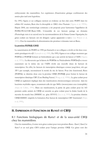 31
embryonnaire des mammifères. Les expériences d’inactivation génique confirmeront des
années plus tard cette hypothèse.
En 1993, Ogawa et ses collègues mettent en évidence un lien clair entre PEBP2 dans les
cellules EC murines, Runt chez la drosophile et AML1 chez l’humain (Ogawa et al, 1993b).
Depuis 2004, une terminologie commune a été proposée pour harmoniser l’appellation de
PEPB2/PEA2/CBF/Runt/AML. L’ensemble de ces facteurs partage un domaine
d’homologie runt et en accord avec les recommandations de la Human Genome Organization, les
gènes codant ces facteurs ont été désignés « gènes apparentés à runt » (van Wijnen et al,
2004). Chez les mammifères la dénomination des protéines à domaine runt est Runx.
La protéine PEPB2β/CBFβ
La caractérisation de PEBP2 en 1990 par Kamachi et ses collègues a révélé en fait deux sous-
unités protéiques α et β (Kamachi et al, 1990). En 1993, Ogawa et ses collèges montrent que
PEBP2α et PEBP2β forment un hétérodimère qui a une activité de liaison à l’ADN (Ogawa
et al, 1993a). La découverte que la liaison de PEBP2α ou l’hétérodimère PEBP2α-β se trouve
exactement sur le même site sur l’ADN révèle une nouvelle classe de facteurs de
transcription. En effet, les facteurs de transcription dimériques connus jusqu’alors, tels que
AP-1 par exemple, reconnaissent la moitié du site de liaison. Pour être fonctionnel, Runx
(PEBP2α) se dimérise donc avec la protéine CBFβ (PEPB2β) pour former le facteur de
transcription dimérique CBF (Core Binding Factor) (Wang et al, 1996b). Le gène codant pour
CBFβ est également impliqué dans des translocations chromosomiques retrouvées dans les
leucémies myéloïdes aigues, notamment celle de type M4Eo (monocytaires avec éosinophilie)
(Hajra & Collins, 1995). Dans ces translocations, la partie du gène codant pour les 165
premiers acides aminés de CBFβ est associée au gène codant pour la chaîne lourde de la
myosine du muscle lisse (SMMHC ou gène MYH11) (Liu et al, 1993). La protéine chimère
CBFβ-SMMHC empêche la formation d’un facteur de transcription CBF fonctionnel (Hajra
et al, 1995).
II. EXPRESSION ET FONCTION DE RUNX1 ET CBFβ
II.1 Fonctions biologiques de Runx1 et de la sous-unité CBFβ
chez les mammifères
Chez les mammifères, il existe trois gènes codant pour trois protéines Runx : Runx1, Runx2 et
Runx3 et un seul gène CBFb codant pour l’unique protéine CBFβ. Ces gènes sont des
 