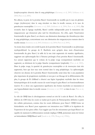 33
lymphocytopénie observée dans le sang périphérique (Growney et al, 2005; Ichikawa et al,
2004; Putz et al, 2005).
Par ailleurs, la perte de la protéine Runx1 fonctionnelle ne modifie pas le taux de globules
rouges (érythrocytes) dans le sang circulant ou dans la moelle osseuse, ni le taux de
granulocytes neutrophiles (Growney et al, 2005; Ichikawa et al, 2004; Putz et al, 2005). En
revanche dans le lignage myéloïde, Runx1 semble indispensable pour la maturation des
mégacaryocyte qui donneront plus tard les thrombocytes. En effet, après l’inactivation
fonctionnelle du gène Runx1, on observe une diminution dramatique des thrombocytes dans
le sang périphérique, concomitante avec une diminution des mégacaryocytes matures dans la
moelle osseuse (Growney et al, 2005; Ichikawa et al, 2004; Putz et al, 2005).
Au moins deux études ont corrélé la perte de la protéine Runx1 fonctionnelle à un phénotype
myéloprolifératif. Le groupe de F. Buchholz note qu’après deux mois d’inactivation
fonctionnelle du gène Runx1, la taille de la rate était augmentée de manière significative,
suggérant une splénomégalie liée à l’absence prolongée d’une protéine Runx1 fonctionnelle.
Les auteurs rapportent que le volume de la pulpe rouge (compartiment myéloïde) est
augmenté, au détriment de la pulpe blanche (compartiment lymphoïde) (Putz et al, 2005).
Dans la pulpe rouge, la quantité de granulocytes neutrophiles et de monocytes était très
augmentée, bien que leur taux reste normal dans le sang périphérique. La splénomégalie
observée (en absence de la protéine Runx1 fonctionnelle) serait donc liée à une population
plus importante de progéniteurs myéloïdes et non pas à un blocage de la différenciation. De
plus, le groupe de D. Gilliland a observé une légère hyperplasie myéloïde dans les tissus
hématopoïétiques de la moelle osseuse de souris lorsque le gène Runx1 est fonctionnellement
inactivé. Il y a donc une augmentation significative des formes myeloides en maturation et
une hypercellularité dans la moelle osseuse (Growney et al, 2005) et dans la rate (Putz et al,
2005).
Le rôle de CBFβ dans le développement normal est très lié à celui de Runx1. En effet, la
délétion de CBFb chez les souris se traduit par la perte de l’hématopoïèse définitive à partir
des cellules précurseurs, comme chez les souris déficientes pour Runx1. CBFβ forme un
hétérodimère avec Runx1 pour augmenter son interaction avec l’ADN et la régulation de
l’expression de leur gènes cibles. Ceci suggère que l’un des mécanismes par lequel Runx1 est
capable de maintenir la différenciation normale implique CBFβ, permettant ainsis de former
un hétérodimère CBFβ/Runx1 actif (Sasaki et al, 1996; Wang et al, 1996b).
 