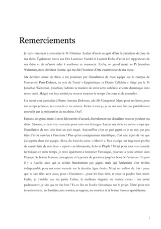 i
Remerciements
Je tiens vivement à remercier le Pr Christian Auclair d’avoir accepté d’être le président du Jury de
ma thèse. Également merci aux Drs Laurence Vandel et Laurent Delva d’avoir été rapporteurs de
ma thèse et de m’avoir aider à améliorer ce manuscrit. Enfin, un grand merci au Pr Jonathan
Weitzman, mon directeur d’unité, qui me fait l’honneur d’être examinateur de ma thèse.
Ma dernière année de thèse a été ponctuée par l’installation de mon équipe sur le campus de
l’université Paris-Diderot, au sein de l’unité « Epigénétique et Destin Cellulaire » dirigé par le Pr
Jonathan Weitzman. Jonathan, j’admire ta manière de créer cette cohésion et cette dynamique dans
notre unité. Malgré ton busy schedule, tu trouves toujours le temps d’écouter et de conseiller.
Un merci tout particulier à Pierre-Antoine Defossez, aka Mr Management. Merci pour tes livres, pour
ton temps précieux, tes conseils et tes astuces. Grâce à tout ça, je ne me suis fait que partiellement
ensevelir par la préparation de ma thèse. Ouf !
Ensuite, un grand merci à mon laboratoire d’accueil, littéralement ma deuxième maison pendant ma
thèse. Slimane, je tiens à te remercier pour tous nos échanges. Lancer ma thèse en même temps que
l’installation de ton labo était un pari risqué. Aujourd’hui c’est un pari gagné et je ne suis pas peu
fière d’avoir survécu à l’aventure ! Plus qu’un enseignement scientifique, c’est une leçon de vie que
j’ai apprise dans ton équipe. Alors, du fond du cœur : « Merci ! ». Mes manips ont largement profité
du savoir-faire de nos deux « experts » au laboratoire, Lolo et Phiphi ! Merci pour tous vos conseils
techniques et votre temps. Je tiens également à remercier Véronique, pourtant à peine arrivée dans
l’équipe. Sa bonne humeur contagieuse m’a permis de positiver jusqu’au bout de l’aventure. Et puis
il y a Aurélie avec qui ce n’était franchement pas gagné, mais qui finalement s’est révélée
indispensable pour ma santé mentale sur la dernière ligne droite. Merci un million de fois : parce
que tu sais râler avec classe, pour « l’escalator » , pour les fous rires, et pour ta playlist bien moisie.
Enfin, je n’oublie pas ma petite Céline, la meilleure stagiaire du monde entier : ma petite
padawanette, je sais que tu iras loin ! Tu as fait un boulot fantastique sur le projet. Merci pour ton
investissement, tes lumières, ton soutien, ta sagesse, tes sourires et ta bonne humeur quotidienne.
 