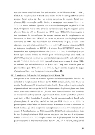 43
sont des kinases serine/thréonine dont trois membres ont été identifés (HIPK1, HIPK2,
HIPK3). La phosphorylation de Runx1 sur les résidus Ser249 et Ser276 par HIPK2 rend la
protéine Runx1 active, car dans un système rapporteur, les mutants Runx1 non-
phosphorylables ne sont plus capables d’activer la transcription correctement (Aikawa et al,
2006). Les auteurs montrent également que les souris inactivées pour les gènes HIPK1 et
HIPK2 n’expriment plus la forme protéique hyperphosphorylée de p300, suggérant que la
phosphorylation de p300 est dépendante de HIPK1 et/ou HIPK2. Effectivement, grâce à
des expériences de co-transfection, les auteurs montrent que la phosphorylation et
l’association de Runx1 avec HIPK1/2 est en fait un pré-requis pour la phosphorylation
consécutive de p300. Les modifications post-traductionnelles de p300 et Runx1 sont
nécessaires pour activer la transcription (Aikawa et al, 2006). De manière intéressante, MOZ
est également phosphorylée par HIPK2 et le trimère Runx1-HIPK2-MOZ semble être
indispensable pour la phosphorylation de MOZ (Aikawa et al, 2006). Il est donc proposé que
Runx1 agisse comme protéine de structure pour l’interaction physique entre HIPK2 et
p300/MOZ, et pourrait constituer une unité de régulation pour contrôler la phosphorylation
de p300 (Yoshida & Kitabayashi, 2008). Une étude récente a mis en valeur le rôle de CBFβ,
en montrant que l’hétérodimérisation de Runx1 avec CBFβ était nécessaire pour sa
phosphorylation par HIPK2 (Wee et al, 2008). La figure ci-contre récapitule les étapes
d’activation de Runx1 pour être dans un forme active (figure 22).
III.2.2 Modulation de l’activité de Runx1 par la MAP kinase ERK
Les cytokines et les facteurs de croissance régulent l’activité transcriptionnelle de Runx1 en
contrôlant la phosphorylation de Runx1 par les MAPK (mitogen activated protein kinase). La
protéine Runx1 contient 14 sérines (ou thréonines) suivies d’une proline, ce qui constitue la
séquence minimale reconnue par les MAPK. Trois de ces sites de phosphorylation sont situés
dans la partie amino-terminale de Runx1, les onze autres sites sont distribués dans le domaine
de transactivation carboxy-terminal. Le groupe de H. Hirai a montré que le EGF (epithelium
growth factor) et l’IL-3 (interleukine-3) stimulent l’activité transcriptionnelle de Runx1 via la
phosphorylation de ses sérines Ser-249 et -266 par ERK (Tanaka et al, 1996). La
phosphorylation de Ser-249 et -266 module l’activité de Runx1 en induisant la dissociation de
Runx1 et mSin3A qui est un corépresseur transcriptionnel (Imai et al, 2004). Inversement, les
mutants de Runx1 présentant une délétion des résidus 248 à 287, où sont normalement situés
les sites de phosphorylation de ERK, ont une interaction plus forte avec le corépresseur
mSin3A (Lutterbach et al, 2000). De plus, d’autres sites de phosphorylation de ERK décrits
pour quatre sérines et thréonines rapprochées (Ser-249, -266, -276 et Thr-273), ont également
 