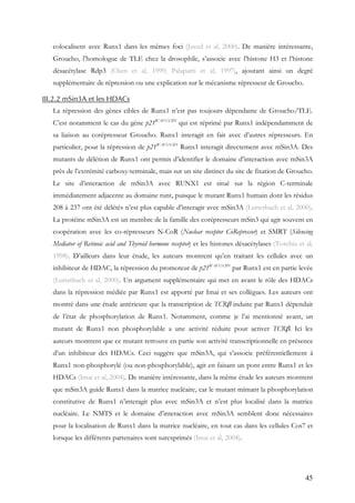 45
colocalisent avec Runx1 dans les mêmes foci (Javed et al, 2000). De manière intéressante,
Groucho, l’homologue de TLE chez la drosophile, s’associe avec l’histone H3 et l’histone
désacétylase Rdp3 (Chen et al, 1999; Palaparti et al, 1997), ajoutant ainsi un degré
supplémentaire de répression ou une explication sur le mécanisme répresseur de Groucho.
III.2.2 mSin3A et les HDACs
La répression des gènes cibles de Runx1 n’est pas toujours dépendante de Groucho/TLE.
C’est notamment le cas du gène p21WAF1/CIP1
qui est réprimé par Runx1 indépendamment de
sa liaison au corépresseur Groucho. Runx1 interagit en fait avec d’autres répresseurs. En
particulier, pour la répression de p21WAF1/CIP1
Runx1 interagit directement avec mSin3A. Des
mutants de délétion de Runx1 ont permis d’identifier le domaine d’interaction avec mSin3A
près de l’extrémité carboxy-terminale, mais sur un site distinct du site de fixation de Groucho.
Le site d’interaction de mSin3A avec RUNX1 est situé sur la région C-terminale
immédiatement adjacente au domaine runt, puisque le mutant Runx1 humain dont les résidus
208 à 237 ont été délétés n’est plus capable d’interagir avec mSin3A (Lutterbach et al, 2000).
La protéine mSin3A est un membre de la famille des corépresseurs mSin3 qui agit souvent en
coopération avec les co-répresseurs N-CoR (Nuclear receptor CoRepressor) et SMRT (Silencing
Mediator of Retinoic acid and Thyroid hormone receptor) et les histones désacétylases (Torchia et al,
1998). D’ailleurs dans leur étude, les auteurs montrent qu’en traitant les cellules avec un
inhibiteur de HDAC, la répression du promoteur de p21WAF1/CIP1
par Runx1 est en partie levée
(Lutterbach et al, 2000). Un argument supplémentaire qui met en avant le rôle des HDACs
dans la répression médiée par Runx1 est apporté par Imai et ses collègues. Les auteurs ont
montré dans une étude antérieure que la transcription de TCRβ induite par Runx1 dépendait
de l’état de phosphorylation de Runx1. Notamment, comme je l’ai mentionné avant, un
mutant de Runx1 non phosphorylable a une activité réduite pour activer TCRβ. Ici les
auteurs montrent que ce mutant retrouve en partie son activité transcriptionnelle en présence
d’un inhibiteur des HDACs. Ceci suggère que mSin3A, qui s’associe préférentiellement à
Runx1 non-phosphorylé (ou non-phosphorylable), agit en faisant un pont entre Runx1 et les
HDACs (Imai et al, 2004). De manière intéressante, dans la même étude les auteurs montrent
que mSin3A guide Runx1 dans la matrice nucléaire, car le mutant mimant la phosphorylation
constitutive de Runx1 n’interagit plus avec mSin3A et n’est plus localisé dans la matrice
nucléaire. Le NMTS et le domaine d’interaction avec mSin3A semblent donc nécessaires
pour la localisation de Runx1 dans la matrice nucléaire, en tout cas dans les cellules Cos7 et
lorsque les différents partenaires sont surexprimés (Imai et al, 2004).
 