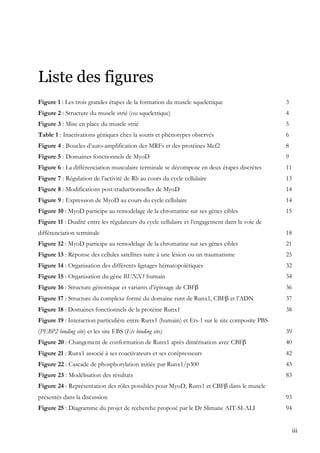 iii
Liste des figures
Figure 1 : Les trois grandes étapes de la formation du muscle squelettique 3
Figure 2 : Structure du muscle strié (ou squelettique) 4
Figure 3 : Mise en place du muscle strié 5
Table 1 : Inactivations géniques chez la souris et phénotypes observés 6
Figure 4 : Boucles d’auto-amplification des MRFs et des protéines Mef2 8
Figure 5 : Domaines fonctionnels de MyoD 9
Figure 6 : La différenciation musculaire terminale se décompose en deux étapes discrètes 11
Figure 7 : Régulation de l’activité de Rb au cours du cycle cellulaire 13
Figure 8 : Modifications post-traductionnelles de MyoD 14
Figure 9 : Expression de MyoD au cours du cycle cellulaire 14
Figure 10 : MyoD participe au remodelage de la chromatine sur ses gènes cibles 15
Figure 11 : Dualité entre les régulateurs du cycle cellulaire et l’engagement dans la voie de
différenciation terminale 18
Figure 12 : MyoD participe au remodelage de la chromatine sur ses gènes cibles 21
Figure 13 : Réponse des cellules satellites suite à une lésion ou un traumatisme 25
Figure 14 : Organisation des différents lignages hématopoïétiques 32
Figure 15 : Organisation du gène RUNX1 humain 34
Figure 16 : Structure génomique et variants d’épissage de CBFβ 36
Figure 17 : Structure du complexe formé du domaine runt de Runx1, CBFβ et l’ADN 37
Figure 18 : Domaines fonctionnels de la protéine Runx1 38
Figure 19 : Interaction particulière entre Runx1 (humain) et Ets-1 sur le site composite PBS
(PEBP2 binding site) et les site EBS (Ets binding site) 39
Figure 20 : Changement de conformation de Runx1 après dimérisation avec CBFβ 40
Figure 21 : Runx1 associé à ses coactivateurs et ses corépresseurs 42
Figure 22 : Cascade de phosphorylation initiée par Runx1/p300 43
Figure 23 : Modélisation des résultats 83
Figure 24 : Représentation des rôles possibles pour MyoD, Runx1 et CBFβ dans le muscle
présentés dans la discussion 93
Figure 25 : Diagramme du projet de recherche proposé par le Dr Slimane AIT-SI-ALI 94
 