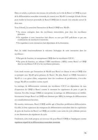 56
Dans cet article, je présente mes travaux de recherche sur le rôle de Runx1 et CBFβ au cours
de la différenciation musculaire terminale, de concert avec MyoD. La stratégie d’étude choisie
pour étudier la fonction potentielle de Runx1/CBFβ dans le muscle s’est articulée autour de
deux axes.
Tout d’abord, j’ai caractérisé l’interaction de Runx1/CBFβ avec MyoD :
• Au niveau endogène dans des myoblastes immortalisés, puis dans des myoblastes
primaires.
• En regardant si cette interaction était directe ou non par GST pull-down et par une
combinatoire de transfection transitoire.
• En regardant si cette interaction était dépendante de la chromatine.
Puis j’ai validé fonctionnellement la relevance biologique de cette interaction dans les
myoblastes :
• Par gain-de-fonction, en surexprimant CBFβ dans les myoblastes C2C12 ;
• Par perte-de-fonction, en utilisant l’ARN interférence (ARNi) contre Runx1 et CBFβ
dans les myoblastes C2C12 et les myoblastes primaires.
Cette étude montre que l’interaction de MyoD avec Runx1 est directe in vitro et CBFβ n’est
co-précipité avec MyoD qu’en présence de Runx1. De plus, Runx1 et CBFβ s’associent à
MyoD et à ses gènes cibles, uniquement dans des conditions de prolifération, c’est-à-dire
lorsque MyoD est considéré comme inactif.
La cinétique de différenciation terminale des myoblastes C2C12 est dépendante du taux
d’expression de CBFβ et Runx1 comme le montrent les expériences de perte et gain de
fonction. En effet, lorsque CBFβ est surexprimé, la cinétique de différenciation est inhibée.
Inversement lorsque Runx1 ou CBFβ sont diminués par ARNi, la cinétique de différenciation
est considérablement favorisée.
De manière intéressante, Runx1/CBFβ semble agir à l’interface prolifération-différenciation.
En effet, la forte expression des marqueurs de différenciation musculaire dans les expériences
de perte-de-fonction de Runx1 ou CBFβ, est corrélée à une sortie du cycle cellulaire précoce
et une diminution des régulateurs du cycle.
Finalement, cette étude propose un nouveau rôle pour Runx1/CBFβ en l’impliquant comme
régulateur négatif de la différenciation musculaire terminale.
 
