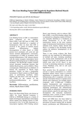 The Core Binding Factor CBF Negatively Regulates Skeletal Muscle
Terminal Differentiation
PHILIPOT Ophelie and AIT-SI-ALI Slimane*
UMR7216 Epigénétique et Destin Cellulaire, Centre National de la Recherche Scientifique (CNRS), Université
Paris-Diderot, 35 rue Hélène Brion, 75013 Paris, France. Previous address: Institut André Lwoff, CNRS, FRE2944,
7 rue Guy Moquet, 94800 Villejuif; Université Paris-Sud, France
Tel: (33)-1-5727-8919, Fax: (33)-1-1-5727-8910
*: Corresponding author, email: slimane.aitsiali@univ-paris-diderot.fr,
Running title: CBF in muscle diffeentiation
ABSTRACT
Core Binding Factor or CBF is a transcription
factor composed of two subunits,
Runx1/AML-1 and CBF beta or CBFβ. CBF
was originally described as a regulator of
hematopoiesis. Here we show that CBF is
involved in the control of skeletal muscle
terminal differentiation. Indeed,
downregulation of either Runx1 or CBFβ
protein level accelerates cell cycle exit and
muscle terminal differentiation. Conversely,
overexpression of CBFβ in myoblasts slows
terminal differentiation. CBF interacts directly
with the master myogenic transcription factor
MyoD in proliferating but not in differentiating
myoblasts. The MyoD/CBF complex contains
several chromatin modifying enzymes that
inhibits MyoD activity, such as HDACs. When
overexpressed, CBFβ induced an inhibition of
histone H3 acetylation at MyoD target
promoters. Finally, we show a preferential
recruitment of Runx1 protein on MyoD target
genes in proliferating myoblasts. Taken
together, our data show a new role for Runx1
and CBFβ in the control of the
proliferation/differentiation in skeletal
myoblasts.
Keywords: Differentiation, proliferation,
muscle, MyoD, Runx1/CBFβ
INTRODUCTION
Runx1 (for Runt-related factor, also known as
AML1 for Acute Myeloid Leukemia 1,
CBFA2 or PEPB2aB) belongs to a family of
highly homologous heterodimeric transcription
factors named Core Binding Factors or CBF
(reviewed in: [1]). To be fully functional as a
transcription regulator, DNA binding subunit
Runx1 must dimerize with its cofactor CBF-
beta (CBFb, a non-DNA-binding subunit that
is expressed in a ubiquitous manner [2] Runx1
was originally identified at a breakpoint on
human chromosome 21 in the t(8;21)
translocation, known as the most common
target of chromosomal translocations in human
leukemia [3,4]. Genetic studies showed that
Runx1 is essential in the developing murine
embryo for definitive hematopoiesis of all
lineages [5,6].
There is now strong evidence that Runx
proteins are also important for differentiation
of multiple cell types, including osteoblasts
[7], neurons [8,9], hematopoietic cells of all
lineages [5,6,10] and skin epidermis and hair
follicle stem cells [11,12]. Runx1 is also
involved in promoting senescence in primary
mouse fibroblasts [13], and in cell cycle
regulation [14-16].
Runx proteins have the potential to either
activate or repress transcription in a context
dependent manner. Runx1 seems to promote
proliferation in progenitor cells, whereas in
differentiating cells it cooperates with tissue-
specific transcription factors to regulate tissue-
specific gene expression. For example, Runx1
cooperates with C/EBPα and C/EBPβ to
regulate hematopoiesis and osteogenesis,
respectively [17,18]. The dual role of Runx1 in
regulating proliferation and differentiation
could depend on differential interactions with
protein partners, specific for each stage of cell
development. The molecular mechanisms
underlying such a switch in Runx1 function
remain however to be deciphered.
Runx1 and CBFβ have also been linked to
skeletal muscle differentiation [19-21], and
prevention of muscle wasting [20]. In skeletal
muscle, proliferation and differentiation are
 