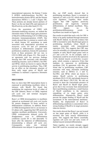 transcriptional repression: the histone 3 lysine
9 (H3K9) methyltransferase Suv39h1, the
heterochromatin protein HP1β, and the histone
deacetylases HDACs 1, 2 and 3 (Figure 3B).
These proteins are already known partners of
Runx1 on the one hand [30], and repressors of
MyoD activity on the other hand [31-33].
Given the association of CBFβ with
chromatin-modifying enzymes, we studied the
chromatin status of three target gene promoters
of MyoD in differentiating C2C12-CBFβ using
chromatin immunoprecipitation (ChIP). Our
results showed that, in contrast to control cells
in which histone H3 acetylation (a mark
associated with transcription activation) on
myogenin, cyclin D3 and p21 promoters
increased in differentiation compared with
proliferation conditions, histone H3 acetylation
levels at these promoters did not vary in
C2C12-CBFβ cells (Figure 3C). This result is
an agreement with our previous findings
showing that CBF associates with chromatin
modifying enzymes, such as HDACs, Suv39h1
and HP1β, which are known to repress MyoD
activity in proliferating myoblasts. Thus, CBF
has an effect on the chromatin structure of
three early target genes of MyoD and
contibutes to maintain a repressive chromatin
state.
DISCUSSION
Here we show that CBF transcription factor is
expressed in proliferating myoblasts where it
interacts with MyoD. We found that
modulating the expression levels of either of
the CBF subunits, Runx1 or CBFβ, impaired
cell cycle exit and terminal myogenic
differentiation.
Runx1 or CBFβ downregulation in myoblasts
induced an accelerated cell cycle exit (cyclin
D1 protein disappears 24 hours earlier) in
differentiation conditions. In addition, Runx1
or CBFβ downregulation led to a an increase in
G1-phase cells, suggesting that CBF positively
regulates myoblasts proliferation. Conversely,
CBFβ overexpression delayed cyclin D1
disappearance even in differentiation
conditions (cyclin D1 is still detectable 72
hours after the induction of differentiation),
demonstrating a delayed cell cycle exit.
Consequently, entry into terminal
differentiation was delayed. In agreement with
this, our ChIP results showed that in
proliferating myoblasts, Runx1 is recruited to
repressd p21 and cyclin D3, which encode cell
cycle regulators. Together, these results
suggest that CBF regulates positively
proliferation, and negatively terminal
differentiation, of skeletal myoblasts. Thus,
CBF impacts on the
proliferation/differentiation switch in
myoblasts (see model on Figure 4).
Our results revealed that such a role for CBF is
likely to be partly mediated through interaction
with MyoD. Indeed, we provide evidence that
CBF is recruited to early MyoD target genes in
proliferating myoblasts, where MyoD is
mainly associated with transcriptional
repressors [24]. This suggests that CBF may
serve for assembly of a transcription repression
complex at early MyoD target genes such as
p21 and cyclin D3. As for example, such a
mechanism could be involved in the repression
of the skeletal muscle acetylcholine receptor
gene, which contains a repressive E-box that
mediates its repression in proliferating
myoblasts [34]. In agreement with this, we
found that in proliferating myoblasts, CBF
associates with many chromatin modifying
enzymes, such as HDACs (1, 2 and 3),
Suv39h1, and HP1β, which are known to
repress MyoD activity in proliferating
myoblasts [24,31,35,36]; and already known to
interact with Runx1 [30,37,38]. We did not
succeed to show the concomitant presence of
Runx1 and MyoD on MyoD target genes,
given that it has reviously been demonstrated
that in proliferating conditions, a small fraction
of MyoD contributes to the repressive
remodeling of its target genes, prior
differentiation. Alternatively, Runx1 could
prevent the proper binding of MyoD and the
recruitment of the transcriptional machinery.
Notably, the displacement of Runx1 in
differentiating conditions is concomitant with a
strong binding of MyoD to its target promoters
(data not shown).
Our results showed that Runx1 was not located
on late target genes of MyoD, while it is
recruited into early muscle differentiation
genes. This suggests that Runx1 essentially
regulates cell cycle exit and early events of
skeletal muscle terminal differentiation.
Taken together, our results strongly suggest
that CBF could be recruited onto early MyoD
 