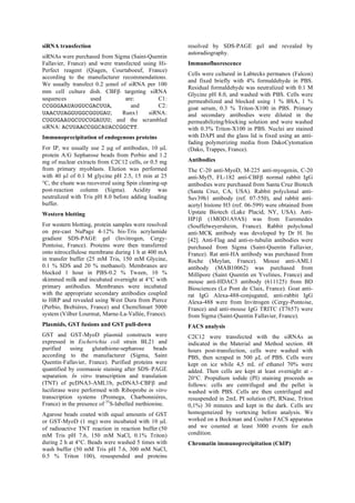 siRNA transfection
siRNAs were purchased from Sigma (Saint-Quentin
Fallavier, France) and were transfected using Hi-
Perfect reagent (Qiagen, Courtaboeuf, France)
according to the manufacturer recommendations.
We usually transfect 0.2 µmol of siRNA per 100
mm cell culture dish. CBFβ targeting siRNA
sequences used are: C1:
CCGGGAAUAUGUCGACUUA, and C2:
UAACUUAGGUGGCGGUGAU; Runx1 siRNA:
CUGUGAAUGCUUCUGAUUU; and the scrambled
siRNA: ACUUAACCGGCAUACCGGCTT.
Immunoprecipitation of endogenous proteins
For IP, we usually use 2 µg of antibodies, 10 µL
protein A/G Sepharose beads from Perbio and 1.2
mg of nuclear extracts from C2C12 cells, or 0.5 mg
from primary myoblasts. Elution was performed
with 40 µl of 0.1 M glycine pH 2.5, 15 min at 25
°C, the eluate was recovered using Spin cleaning-up
post-reaction column (Sigma). Acidity was
neutralized with Tris pH 8.0 before adding loading
buffer.
Western blotting
For western blotting, protein samples were resolved
on pre-cast NuPage 4-12% bis-Tris acrylamide
gradient SDS-PAGE gel (Invitrogen, Cergy-
Pontoise, France). Proteins were then transferred
onto nitrocellulose membrane during 1 h at 400 mA
in transfer buffer (25 mM Tris, 150 mM Glycine,
0.1 % SDS and 20 % methanol). Membranes are
blocked 1 hour in PBS-0.2 % Tween, 10 %
skimmed milk and incubated overnight at 4°C with
primary antibodies. Membranes were incubated
with the appropriate secondary antibodies coupled
to HRP and revealed using West Dura from Pierce
(Perbio, Brebières, France) and ChemiSmart 5000
system (Vilber Lourmat, Marne-La-Vallée, France).
Plasmids, GST fusions and GST pull-down
GST and GST-MyoD plasmid constructs were
expressed in Escherichia coli strain BL21 and
purified using glutathione-sepharose beads
according to the manufacturer (Sigma, Saint
Quentin-Fallavier, France). Purified proteins were
quantified by coomassie staining after SDS–PAGE
separation. In vitro transcription and translation
(TNT) of pcDNA3-AML1b, pcDNA3-CBFβ and
luciferase were performed with Riboprobe in vitro
transcription systems (Promega, Charbonnières,
France) in the presence of 35
S-labelled methionine.
Agarose beads coated with equal amounts of GST
or GST-MyoD (1 mg) were incubated with 10 µL
of radioactive TNT reaction in reaction buffer (50
mM Tris pH 7.6, 150 mM NaCl, 0.1% Triton)
during 2 h at 4°C. Beads were washed 5 times with
wash buffer (50 mM Tris pH 7.6, 300 mM NaCl,
0.5 % Triton 100), resuspended and proteins
resolved by SDS-PAGE gel and revealed by
autoradiography.
Immunofluorescence
Cells were cultured in Labtecks permanox (Falcon)
and fixed briefly with 4% formaldehyde in PBS.
Residual formaldehyde was neutralized with 0.1 M
Glycine pH 8.0, and washed with PBS. Cells were
permeabilized and blocked using 1 % BSA, 1 %
goat serum, 0.3 % Triton-X100 in PBS. Primary
and secondary antibodies were diluted in the
permeabilizing/blocking solution and were washed
with 0.3% Triton-X100 in PBS. Nuclei are stained
with DAPI and the glass lid is fixed using an anti-
fading polymerizing media from DakoCytomation
(Dako, Trappes, France).
Antibodies
The C-20 anti-MyoD, M-225 anti-myogenin, C-20
anti-Myf5, FL-182 anti-CBFβ normal rabbit IgG
antibodies were purchased from Santa Cruz Biotech
(Santa Cruz, CA, USA). Rabbit polyclonal anti-
Suv39h1 antibody (ref. 07-550), and rabbit anti-
acetyl histone H3 (ref. 06-599) were obtained from
Upstate Biotech (Lake Placid, NY, USA). Anti-
HP1β (1MOD1A9AS) was from Euromedex
(Souffelweyersheim, France). Rabbit polyclonal
anti-MCK antibody was developed by Dr H. Ito
[42]. Anti-Flag and anti-α-tubulin antibodies were
purchased from Sigma (Saint-Quentin Fallavier,
France). Rat anti-HA antibody was purchased from
Roche (Meylan, France). Mouse anti-AML1
antibody (MAB10062) was purchased from
Millipore (Saint Quentin en Yvelines, France) and
mouse anti-HDAC3 antibody (611125) from BD
Biosciences (Le Pont de Claix, France). Goat anti-
rat IgG Alexa-488-conjugated, anti-rabbit IgG
Alexa-488 were from Invitrogen (Cergy-Pontoise,
France) and anti-mouse IgG TRITC (T7657) were
from Sigma (Saint-Quentin Fallavier, France).
FACS analysis
C2C12 were transfected with the siRNAs as
indicated in the Material and Method section. 48
hours post-transfection, cells were washed with
PBS, then scraped in 500 µL of PBS. Cells were
kept on ice while 4,5 mL of ethanol 70% were
added. Then cells are kept at least overnight at -
20°C. Propidium iodide (PI) staining proceeds as
follows: cells are centrifuged and the pellet is
washed with PBS. Cells are then centrifuged and
resuspended in 2mL PI solution (PI, RNase, Triton
0,1%) 30 minutes and kept in the dark. Cells are
homogeneized by vortexing before analysis. We
worked on a Beckman and Coulter FACS apparatus
and we counted at least 3000 events for each
condition.
Chromatin immunoprecipitation (ChIP)
 