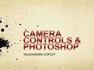 CAMERA CONTROLS & PHOTOSHOP ©ALEXANDRA COPLEY 