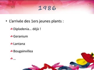 1986
• L’arrivée des 1ers jeunes plants :
Dipladenia… déjà !
Geranium
Lantana
Bougainvillea
…
 