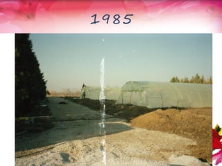 1985
 