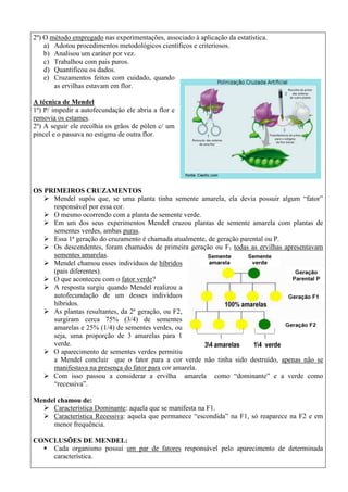 2º) O método empregado nas experimentações, associado à aplicação da estatística.
a) Adotou procedimentos metodológicos científicos e criteriosos.
b) Analisou um caráter por vez.
c) Trabalhou com pais puros.
d) Quantificou os dados.
e) Cruzamentos feitos com cuidado, quando
as ervilhas estavam em flor.
A técnica de Mendel
1º) P/ impedir a autofecundação ele abria a flor e
removia os estames.
2º) A seguir ele recolhia os grãos de pólen c/ um
pincel e o passava no estigma de outra flor.
OS PRIMEIROS CRUZAMENTOS
 Mendel supôs que, se uma planta tinha semente amarela, ela devia possuir algum “fator”
responsável por essa cor.
 O mesmo ocorrendo com a planta de semente verde.
 Em um dos seus experimentos Mendel cruzou plantas de semente amarela com plantas de
sementes verdes, ambas puras.
 Essa 1ª geração do cruzamento é chamada atualmente, de geração parental ou P.
 Os descendentes, foram chamados de primeira geração ou F1 todas as ervilhas apresentavam
sementes amarelas.
 Mendel chamou esses indivíduos de híbridos
(pais diferentes).
 O que aconteceu com o fator verde?
 A resposta surgiu quando Mendel realizou a
autofecundação de um desses indivíduos
híbridos.
 As plantas resultantes, da 2ª geração, ou F2,
surgiram cerca 75% (3/4) de sementes
amarelas e 25% (1/4) de sementes verdes, ou
seja, uma proporção de 3 amarelas para 1
verde.
 O aparecimento de sementes verdes permitiu
a Mendel concluir que o fator para a cor verde não tinha sido destruído, apenas não se
manifestava na presença do fator para cor amarela.
 Com isso passou a considerar a ervilha amarela como “dominante” e a verde como
“recessiva”.
Mendel chamou de:
 Característica Dominante: aquela que se manifesta na F1.
 Característica Recessiva: aquela que permanece “escondida” na F1, só reaparece na F2 e em
menor frequência.
CONCLUSÕES DE MENDEL:
 Cada organismo possui um par de fatores responsável pelo aparecimento de determinada
característica.
 