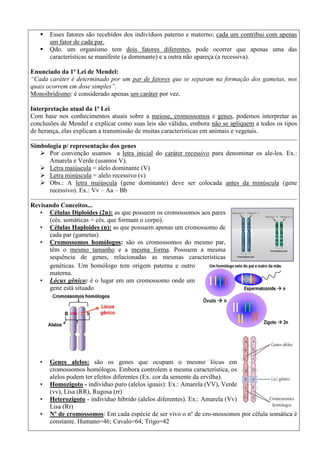  Esses fatores são recebidos dos indivíduos paterno e materno; cada um contribui com apenas
um fator de cada par.
 Qdo. um organismo tem dois fatores diferentes, pode ocorrer que apenas uma das
características se manifeste (a dominante) e a outra não apareça (a recessiva).
Enunciado da 1ª Lei de Mendel:
“Cada caráter é determinado por um par de fatores que se separam na formação dos gametas, nos
quais ocorrem em dose simples”.
Monoibridismo: é considerado apenas um caráter por vez.
Interpretação atual da 1ª Lei
Com base nos conhecimentos atuais sobre a meiose, cromossomos e genes, podemos interpretar as
conclusões de Mendel e explicar como suas leis são válidas, embora não se apliquem a todos os tipos
de herança, elas explicam a transmissão de muitas características em animais e vegetais.
Simbologia p/ representação dos genes
 Por convenção usamos a letra inicial do caráter recessivo para denominar os ale-los. Ex.:
Amarela e Verde (usamos V).
 Letra maiúscula = alelo dominante (V)
 Letra minúscula = alelo recessivo (v)
 Obs.: A letra maiúscula (gene dominante) deve ser colocada antes da minúscula (gene
recessivo). Ex.: Vv – Aa – Bb
Revisando Conceitos...
• Células Diploides (2n): as que possuem os cromossomos aos pares
(cés. somáticas = cés. que formam o corpo).
• Células Haploides (n): as que possuem apenas um cromossomo de
cada par (gametas).
• Cromossomos homólogos: são os cromossomos do mesmo par,
têm o mesmo tamanho e a mesma forma. Possuem a mesma
sequência de genes, relacionadas as mesmas características
genéticas. Um homólogo tem origem paterna e outro
materna.
• Lócus gênico: é o lugar em um cromossomo onde um
gene está situado
• Genes alelos: são os genes que ocupam o mesmo lócus em
cromossomos homólogos. Embora controlem a mesma característica, os
alelos podem ter efeitos diferentes (Ex. cor da semente da ervilha).
• Homozigoto - indivíduo puro (alelos iguais): Ex.: Amarela (VV), Verde
(vv), Lisa (RR), Rugosa (rr)
• Heterozigoto - indivíduo híbrido (alelos diferentes). Ex.: Amarela (Vv)
Lisa (Rr)
• Nº de cromossomos: Em cada espécie de ser vivo o nº de cro-mossomos por célula somática é
constante. Humano=46; Cavalo=64; Trigo=42
 