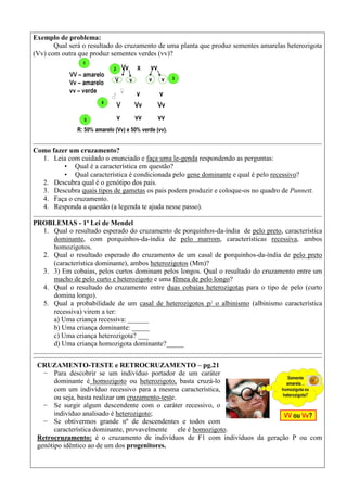 Exemplo de problema:
Qual será o resultado do cruzamento de uma planta que produz sementes amarelas heterozigota
(Vv) com outra que produz sementes verdes (vv)?
Como fazer um cruzamento?
1. Leia com cuidado o enunciado e faça uma le-genda respondendo as perguntas:
• Qual é a característica em questão?
• Qual característica é condicionada pelo gene dominante e qual é pelo recessivo?
2. Descubra qual é o genótipo dos pais.
3. Descubra quais tipos de gametas os pais podem produzir e coloque-os no quadro de Punnett.
4. Faça o cruzamento.
4. Responda a questão (a legenda te ajuda nesse passo).
PROBLEMAS - 1ª Lei de Mendel
1. Qual o resultado esperado do cruzamento de porquinhos-da-índia de pelo preto, característica
dominante, com porquinhos-da-índia de pelo marrom, características recessiva, ambos
homozigotos.
2. Qual o resultado esperado do cruzamento de um casal de porquinhos-da-índia de pelo preto
(característica dominante), ambos heterozigotos (Mm)?
3. 3) Em cobaias, pelos curtos dominam pelos longos. Qual o resultado do cruzamento entre um
macho de pelo curto e heterozigoto e uma fêmea de pelo longo?
4. Qual o resultado do cruzamento entre duas cobaias heterozigotas para o tipo de pelo (curto
domina longo).
5. Qual a probabilidade de um casal de heterozigotos p/ o albinismo (albinismo característica
recessiva) virem a ter:
a) Uma criança recessiva: ______
b) Uma criança dominante: _____
c) Uma criança heterozigota? ___
d) Uma criança homozigota dominante?_____
CRUZAMENTO-TESTE e RETROCRUZAMENTO – pg.21
− Para descobrir se um indivíduo portador de um caráter
dominante é homozigoto ou heterozigoto, basta cruzá-lo
com um indivíduo recessivo para a mesma característica,
ou seja, basta realizar um cruzamento-teste.
− Se surgir algum descendente com o caráter recessivo, o
indivíduo analisado é heterozigoto;
− Se obtivermos grande nº de descendentes e todos com
característica dominante, provavelmente ele é homozigoto.
Retrocruzamento: é o cruzamento de indivíduos de F1 com indivíduos da geração P ou com
genótipo idêntico ao de um dos progenitores.
 