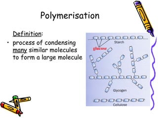 Polymerisation Definition Science Chapter 4 Nutrients Lesson 1 - Carbohydrates | PPT