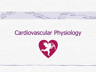 Cardiovascular Physiology 