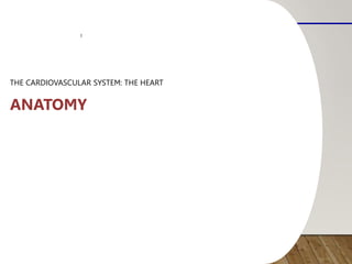THE CARDIOVASCULAR SYSTEM: THE HEART
ANATOMY
1
 