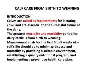CALF CARE FROM BIRTH TO WEANING
INTRODUCTION
Calves are raised as replacements for lactating
cows and are essential to the successful future of
the dairy.
The greatest mortality and morbidity period for
dairy cattle is from birth to weaning.
Management goals for the first 6 to 8 weeks of a
calf's life should be to minimize disease and
mortality by providing a suitable environment,
establishing a quality nutritional program, and
implementing a preventive health care plan.
 