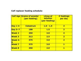 care of calf and cattle | PPTX