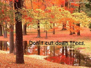 Don't cut down trees.
 
