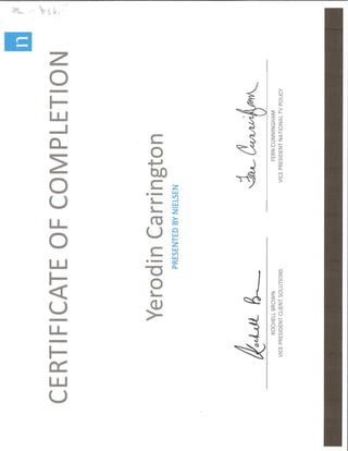 Nielsen Television Certificate