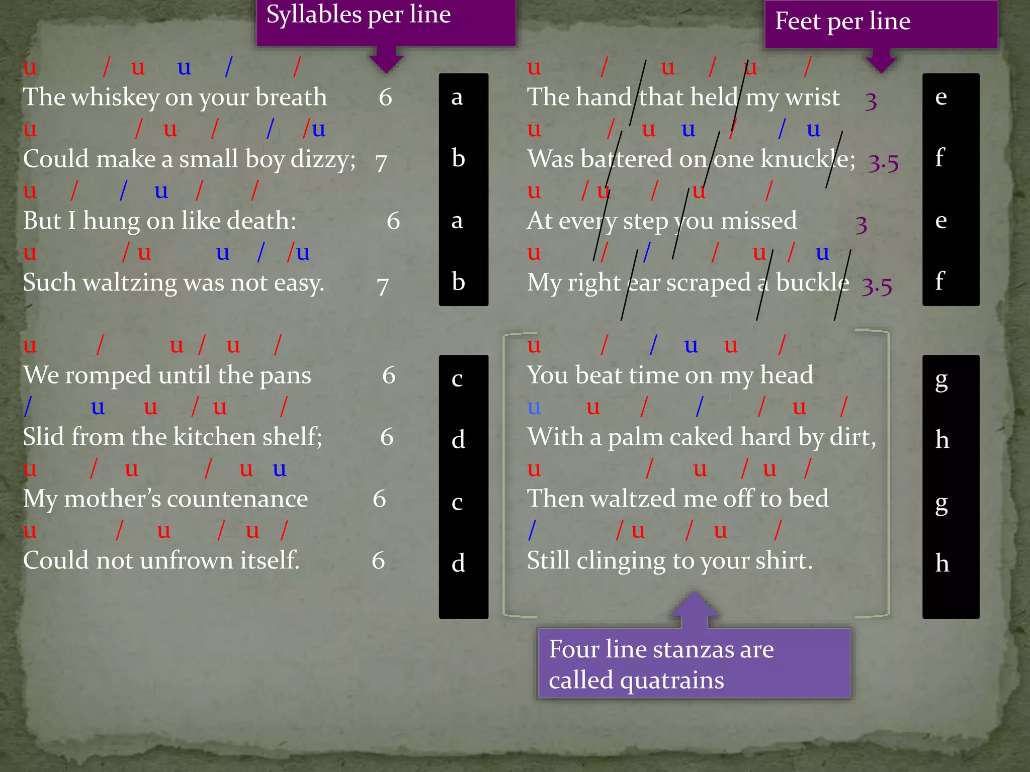 u / u u / /
The whiskey on your breath 6
u / u / / /u
Could make a small boy dizzy; 7
u / / u / /
But I hung on like death: 6
u / u u / /u
Such waltzing was not easy. 7
u / u / u /
We romped until the pans 6
/ u u / u /
Slid from the kitchen shelf; 6
u / u / u u
My mother’s countenance 6
u / u / u /
Could not unfrown itself. 6
u / u / u /
The hand that held my wrist 3
u / u u / / u
Was battered on one knuckle; 3.5
u / u / u /
At every step you missed 3
u / / / u / u
My right ear scraped a buckle 3.5
u / / u u /
You beat time on my head
u u / / / u /
With a palm caked hard by dirt,
u / u / u /
Then waltzed me off to bed
/ / u / u /
Still clinging to your shirt.
a
b
a
b
c
d
c
d
e
f
e
f
g
h
g
h
Four line stanzas are
called quatrains
Feet per lineSyllables per line
 