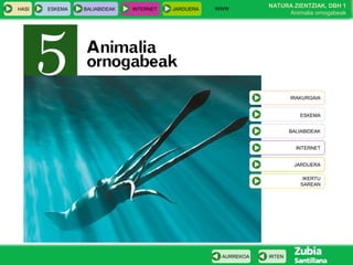 WWW
                                                                NATURA ZIENTZIAK, DBH 1
HASI   ESKEMA   BALIABIDEAK   ...