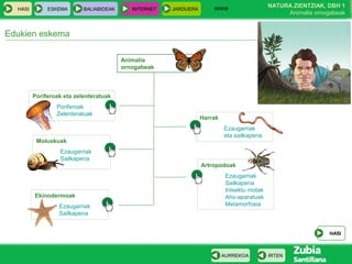 WWW
                                                                                             NATURA ZIENTZIAK, DBH 1
 ...