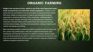 Paddy Form ABOUT ORGANIC FARMING IN OUTSIDE AREAS (based on requirement) | PPTX
