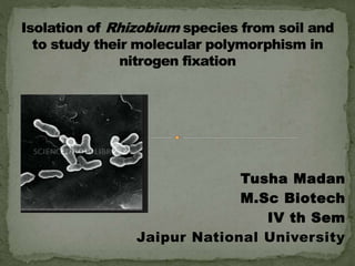 Tusha Madan
M.Sc Biotech
IV th Sem
Jaipur National University
 