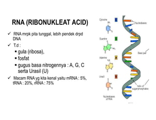 Biologi Molekuler sel, struktur, fungsi dan materi | PDF