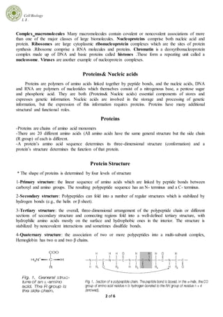 Cell Biology
L 1 .
2 of 6
Complex macromolecules Many macromolecules contain covalent or noncovalent associations of more
than one of the major classes of large biomolecules. Nucleoproteins comprise both nucleic acid and
protein. Ribosomes are large cytoplasmic ribonucleoprotein complexes which are the sites of protein
synthesis .Ribosome comprise a RNA molecules and proteins. Chromatin is a deoxyribonucleoprotein
complex made up of DNA and basic proteins called histones .These form a repeating unit called a
nucleosome. Viruses are another example of nucleoprotein complexes.
Proteins& Nucleic acids
Proteins are polymers of amino acids linked together by peptide bonds, and the nucleic acids, DNA
and RNA are polymers of nucleotides which themselves consist of a nitrogenous base, a pentose sugar
and phosphoric acid. They are both (Proteins& Nucleic acids) essential components of stores and
expresses genetic information. Nucleic acids are involved in the storage and processing of genetic
information, but the expression of this information requires proteins. Proteins have many additional
structural and functional roles.
Proteins
-Proteins are chains of amino acid monomers
-There are 20 different amino acids (All amino acids have the same general structure but the side chain
(R group) of each is different.
-A protein’s amino acid sequence determines its three-dimensional structure (conformation) and a
protein’s structure determines the function of that protein.
Protein Structure
* The shape of proteins is determined by four levels of structure
1-Primary structure: the linear sequence of amino acids which are linked by peptide bonds between
carboxyl and amino groups. The resulting polypeptide sequence has an N- terminus and a C- terminus.
2-Secondary structure: Polypeptides can fold into a number of regular structures which is stabilized by
hydrogen bonds (e.g., the helix or β sheet).
3-Tertiary structure: the overall, three-dimensional arrangement of the polypeptide chain or different
sections of secondary structure and connecting regions fold into a well-defined tertiary structure, with
hydrophilic amino acids mostly on the surface and hydrophobic ones in the interior. The structure is
stabilized by noncovalent interactions and sometimes disulfide bonds.
4-Quaternary structure: the association of two or more polypeptides into a multi-subunit complex,
Hemoglobin has two α and two β chains.
 