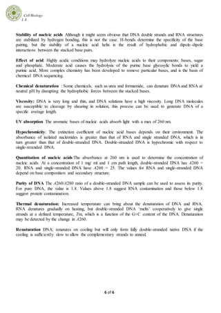 Cell Biology
L 1 .
6 of 6
Stability of nucleic acids Although it might seem obvious that DNA double strands and RNA structures
are stabilized by hydrogen bonding, this is not the case. H-bonds determine the specificity of the base
pairing, but the stability of a nucleic acid helix is the result of hydrophobic and dipole–dipole
interactions between the stacked base pairs.
Effect of acid: Highly acidic conditions may hydrolyze nucleic acids to their components: bases, sugar
and phosphate. Moderate acid causes the hydrolysis of the purine base glycosylic bonds to yield a
purinic acid. More complex chemistry has been developed to remove particular bases, and is the basis of
chemical DNA sequencing.
Chemical denaturation : Some chemicals, such as urea and formamide, can denature DNA and RNA at
neutral pH by disrupting the hydrophobic forces between the stacked bases.
Viscosity: DNA is very long and thin, and DNA solutions have a high viscosity. Long DNA molecules
are susceptible to cleavage by shearing in solution, this process can be used to generate DNA of a
specific average length.
UV absorption The aromatic bases of nucleic acids absorb light with a max of 260 nm.
Hypochromicity: The extinction coefficient of nucleic acid bases depends on their environment. The
absorbance of isolated nucleotides is greater than that of RNA and single stranded DNA, which is in
turn greater than that of double-stranded DNA. Double-stranded DNA is hypochromic with respect to
single-stranded DNA.
Quantitation of nucleic acids:The absorbance at 260 nm is used to determine the concentration of
nucleic acids. At a concentration of 1 mg/ ml and 1 cm path length, double-stranded DNA has A260 =
20. RNA and single-stranded DNA have A260 = 25. The values for RNA and single-stranded DNA
depend on base composition and secondary structure.
Purity of DNA The A260/A280 ratio of a double-stranded DNA sample can be used to assess its purity.
For pure DNA, the value is 1.8. Values above 1.8 suggest RNA contamination and those below 1.8
suggest protein contamination.
Thermal denaturation: Increased temperature can bring about the denaturation of DNA and RNA.
RNA denatures gradually on heating, but double-stranded DNA ‘melts’ cooperatively to give single
strands at a defined temperature, Tm, which is a function of the G+C content of the DNA. Denaturation
may be detected by the change in A260.
Renaturation DNA: renatures on cooling but will only form fully double-stranded native DNA if the
cooling is sufficiently slow to allow the complementary strands to anneal.
 