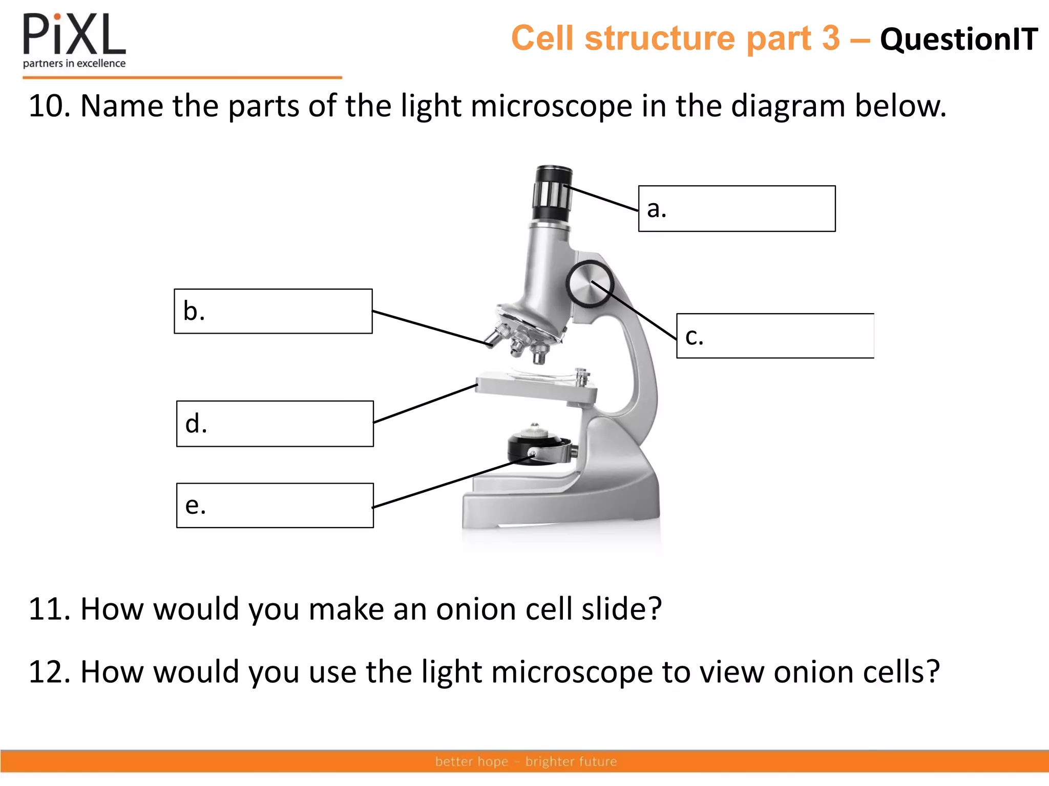 Cell structure part 3 – QuestionIT
10. Name the parts of the light microscope in the diagram below.
11. How would you make an onion cell slide?
12. How would you use the light microscope to view onion cells?
a.
c.
b.
d.
e.
 