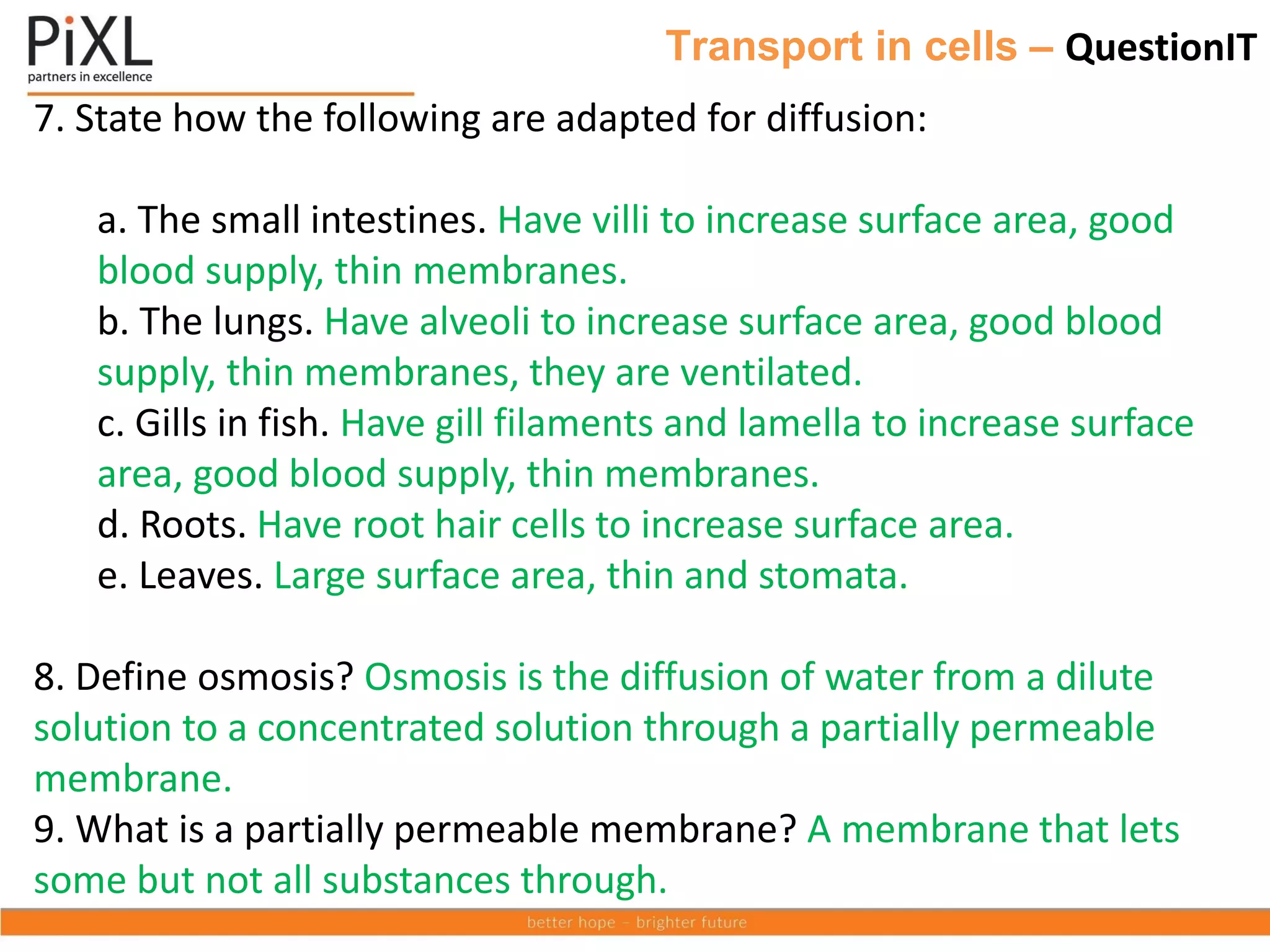 Transport in cells – QuestionIT
7. State how the following are adapted for diffusion:
a. The small intestines. Have villi to increase surface area, good
blood supply, thin membranes.
b. The lungs. Have alveoli to increase surface area, good blood
supply, thin membranes, they are ventilated.
c. Gills in fish. Have gill filaments and lamella to increase surface
area, good blood supply, thin membranes.
d. Roots. Have root hair cells to increase surface area.
e. Leaves. Large surface area, thin and stomata.
8. Define osmosis? Osmosis is the diffusion of water from a dilute
solution to a concentrated solution through a partially permeable
membrane.
9. What is a partially permeable membrane? A membrane that lets
some but not all substances through.
 