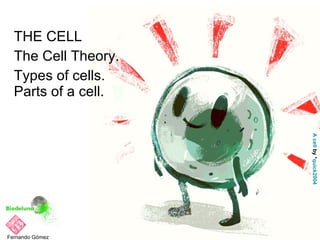THE CELL The Cell Theory. Types of cells. Parts of a cell. Fernando Gómez A cell  by * quick2004 