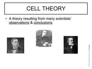 CELL THEORY A theory resulting from many scientists’  observations  &  conclusions Slide from:  http://www.worldofteaching.com                                                                                                                                        Schwann Schleiden Virchow 