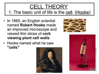 CELL THEORY   1. The basic unit of life is the  cell . ( Hooke ) In 1665, an English scientist named  Robert Hooke  made an improved microscope and viewed thin slices of  cork viewing plant cell walls Hooke named what he saw  "cells"   Slide from:  http://www.worldofteaching.com   