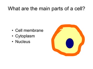What are the main parts of a cell? Cell membrane Cytoplasm Nucleus 