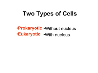 Two Types of Cells Prokaryotic Eukaryotic Without nucleus With nucleus 