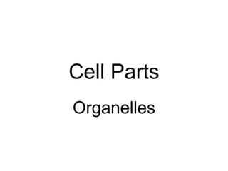 Cell Parts Organelles 